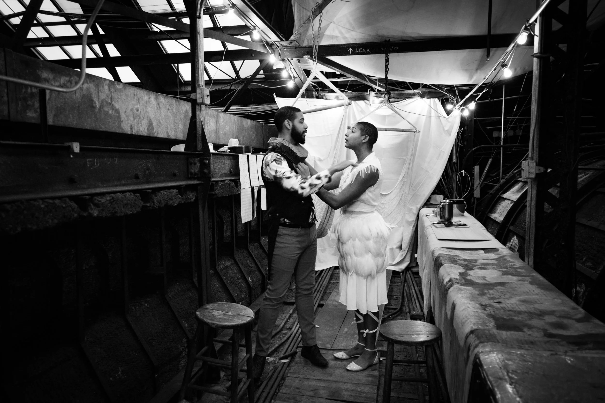 dodo-20171011-0087-2.jpg