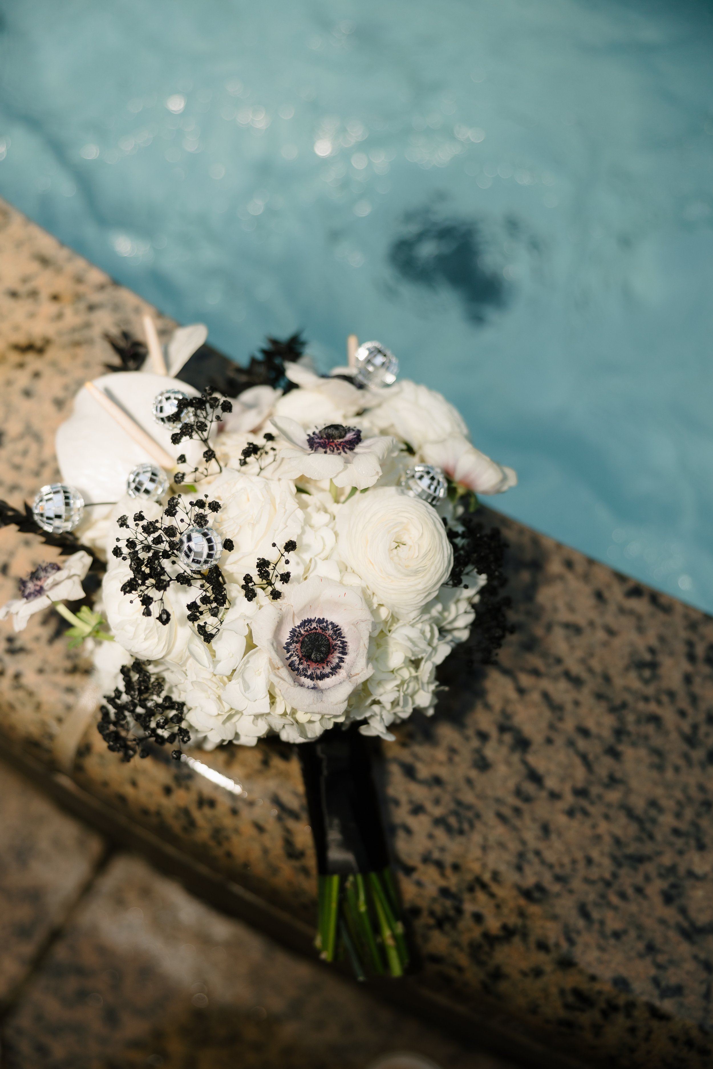 image_123650291 (2).JPG