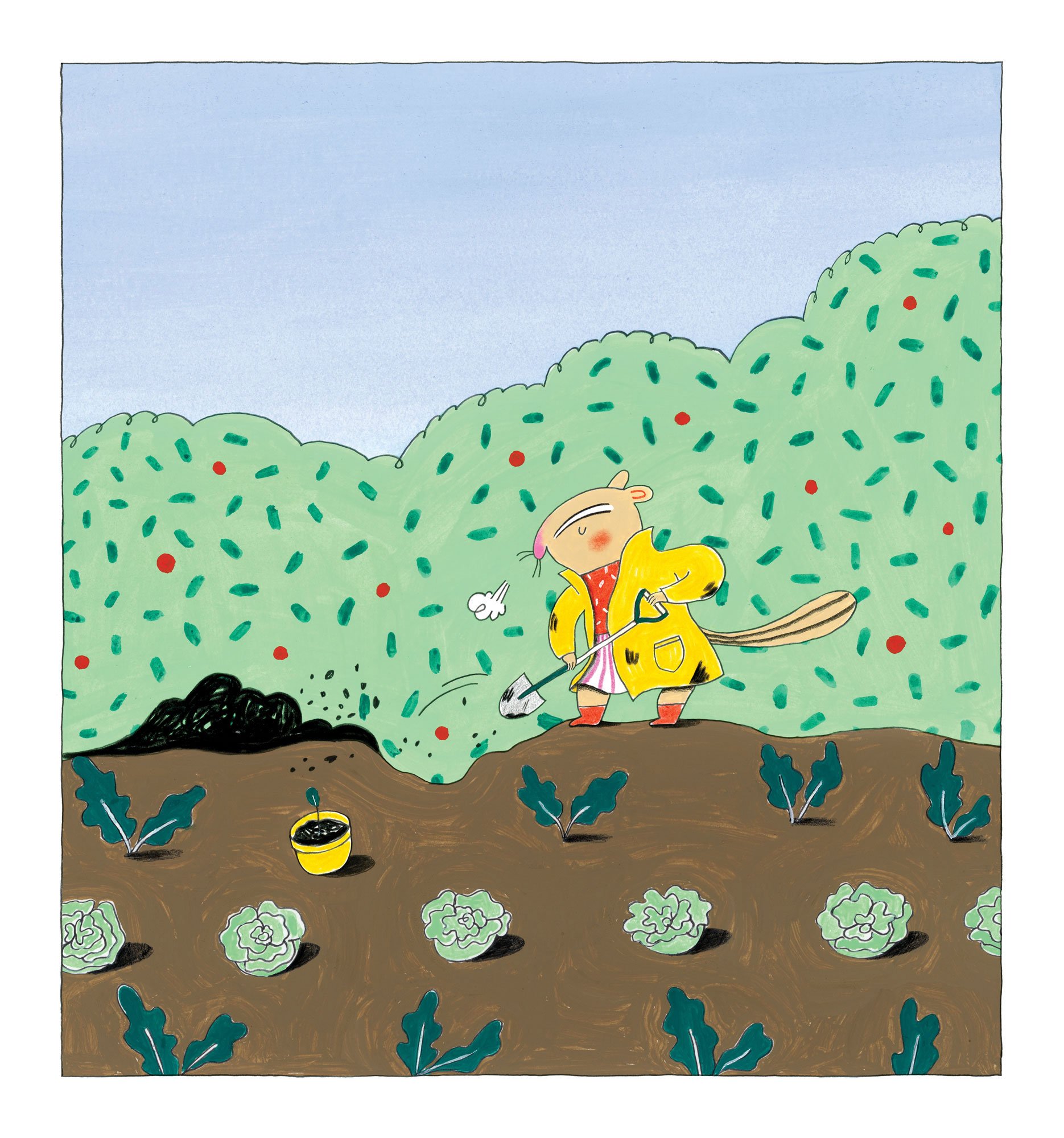 « Un petit coin du jardin »