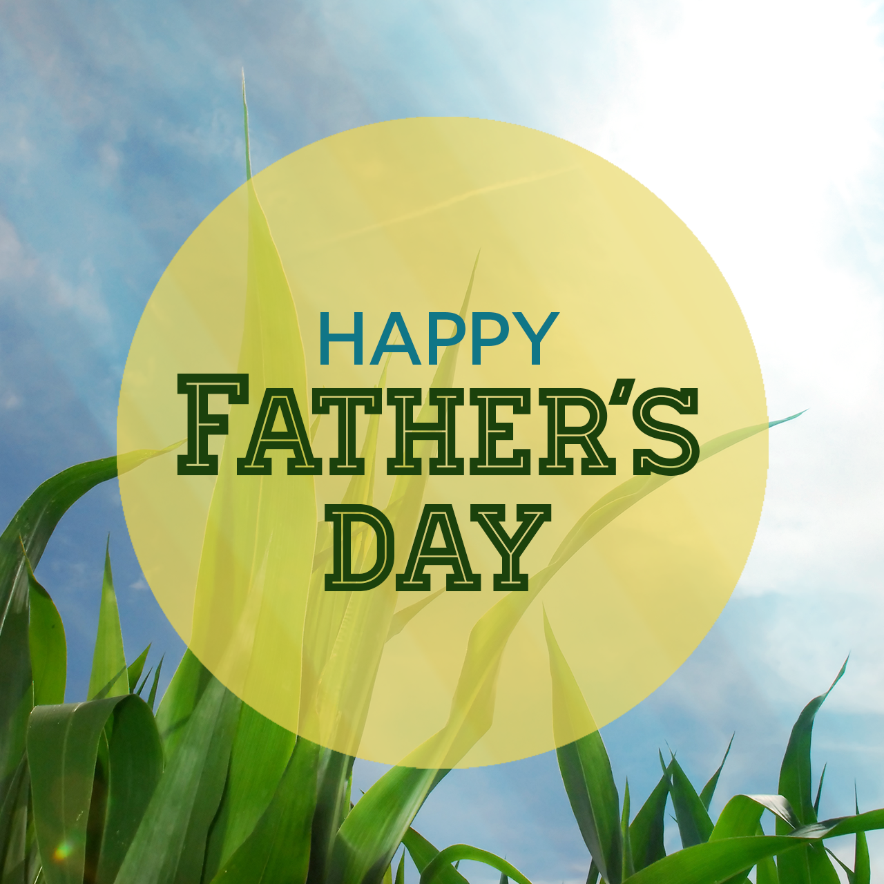 Father's Day - grass and circle - 1280x1280.png