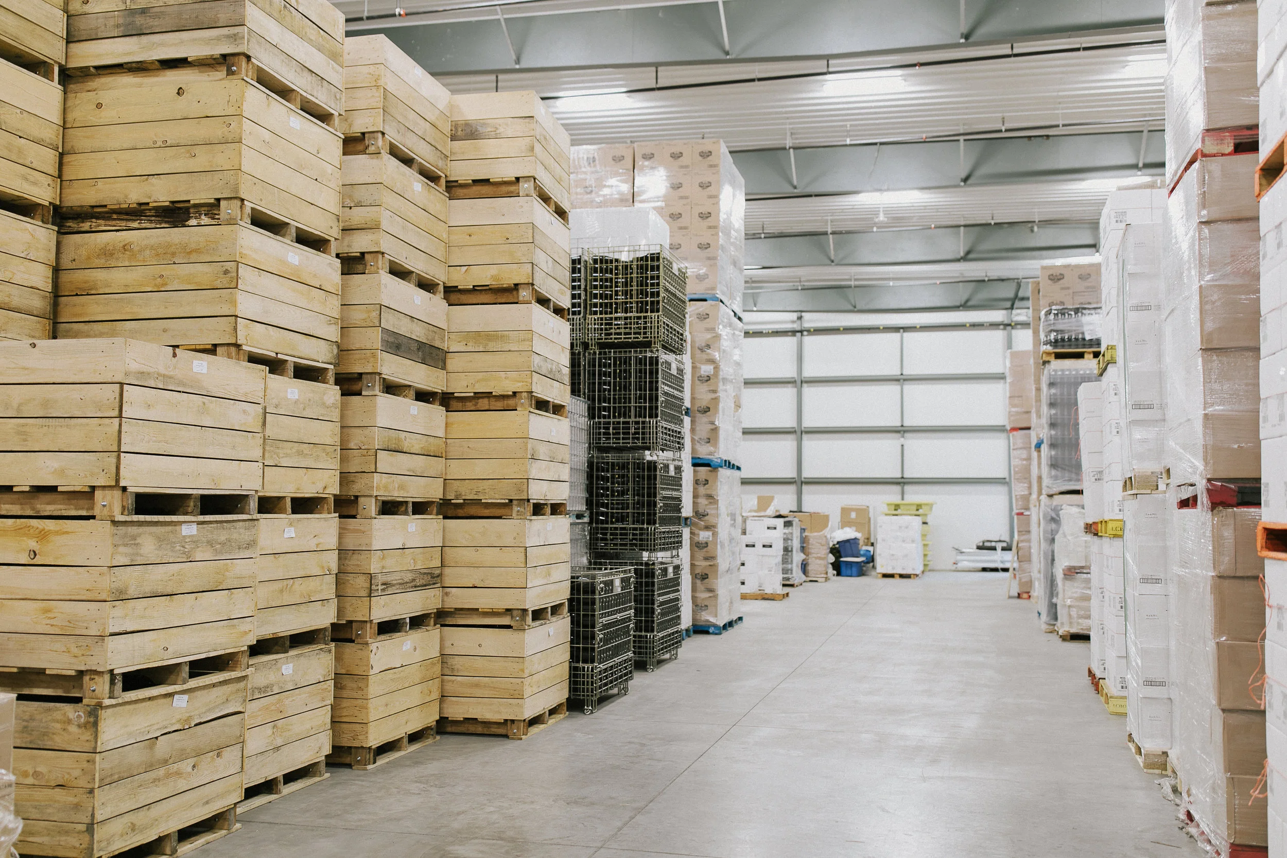 stdsvids_coldstorage-5.JPG