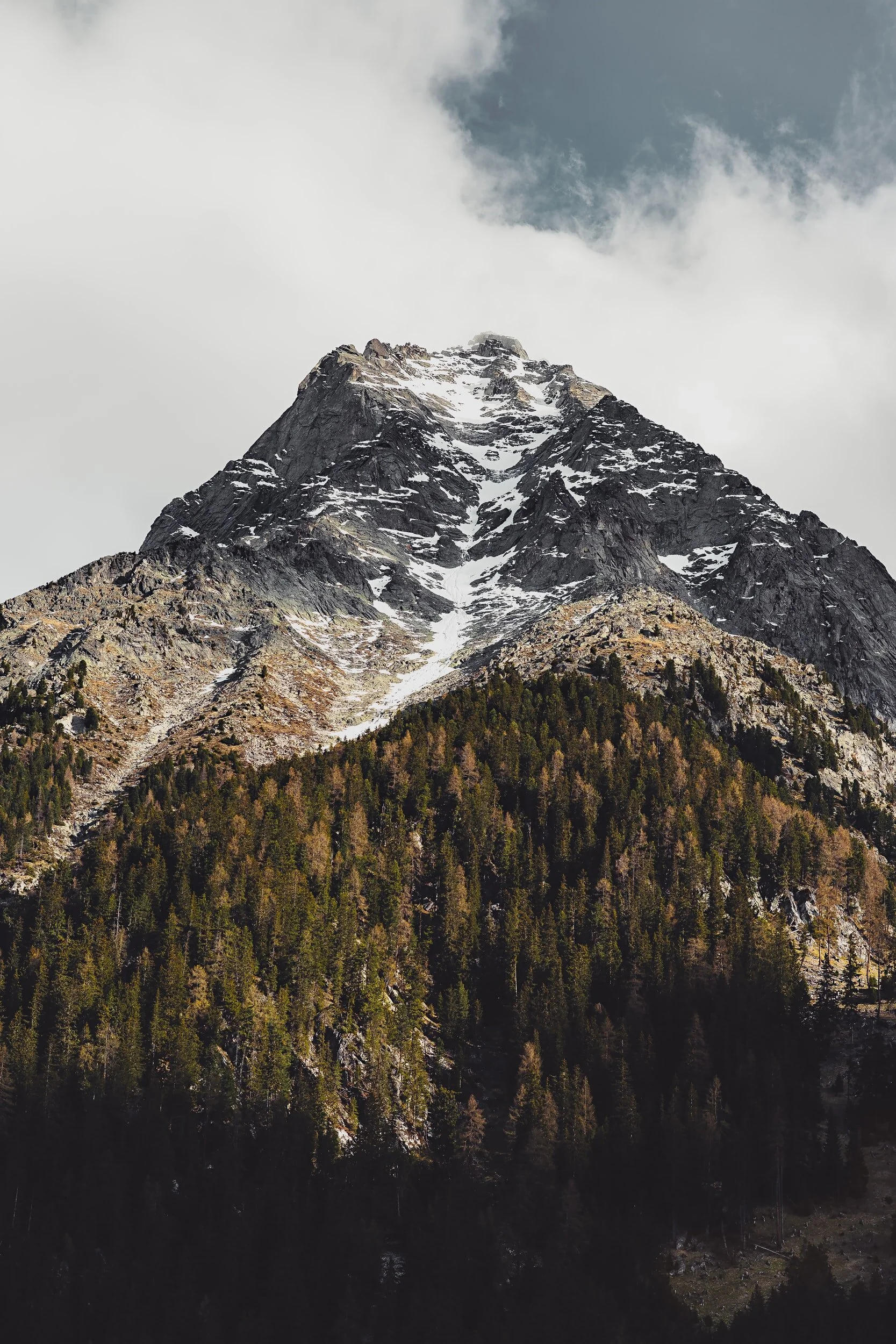 unsplash-image-TqlLqNwNDIM.jpg