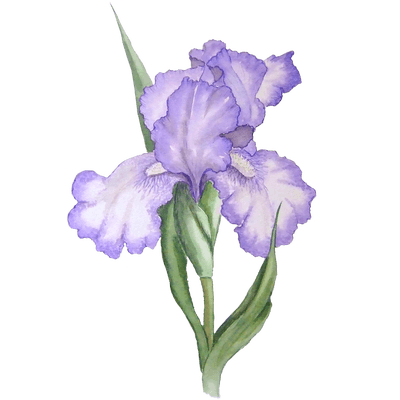 580b585b2edbce24c47b267c.png