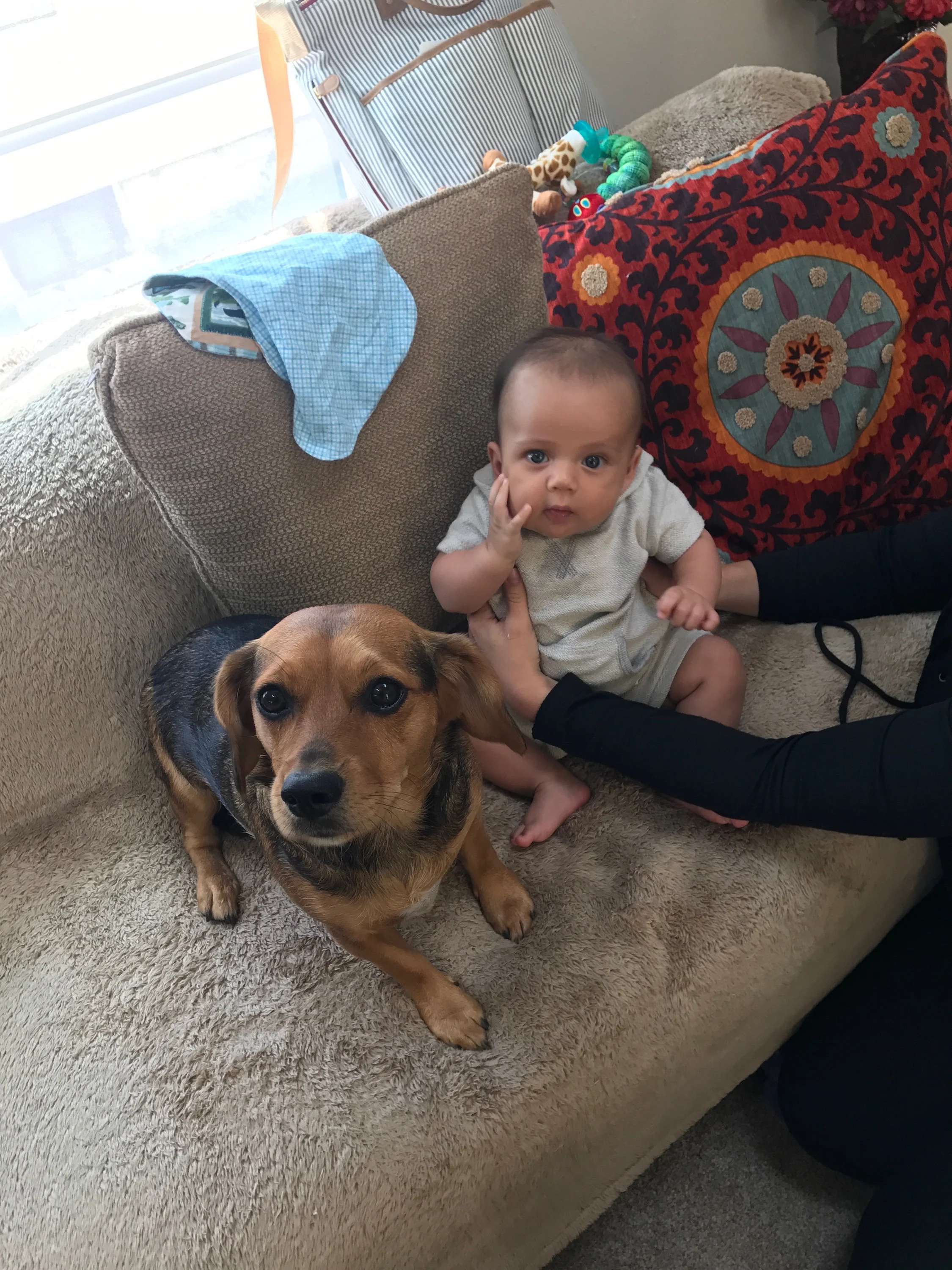 Lilly (my puppy niece) and a baby I don't know