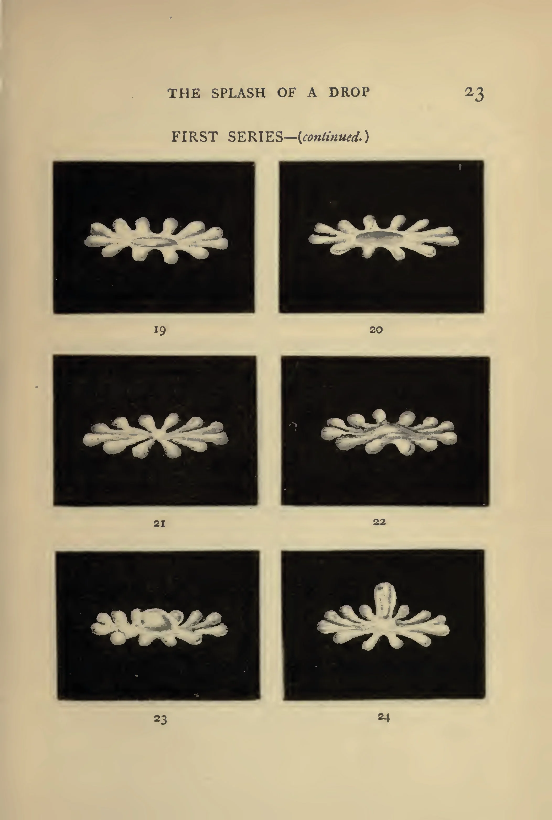 splashofdrop_vis_Page_07.jpg