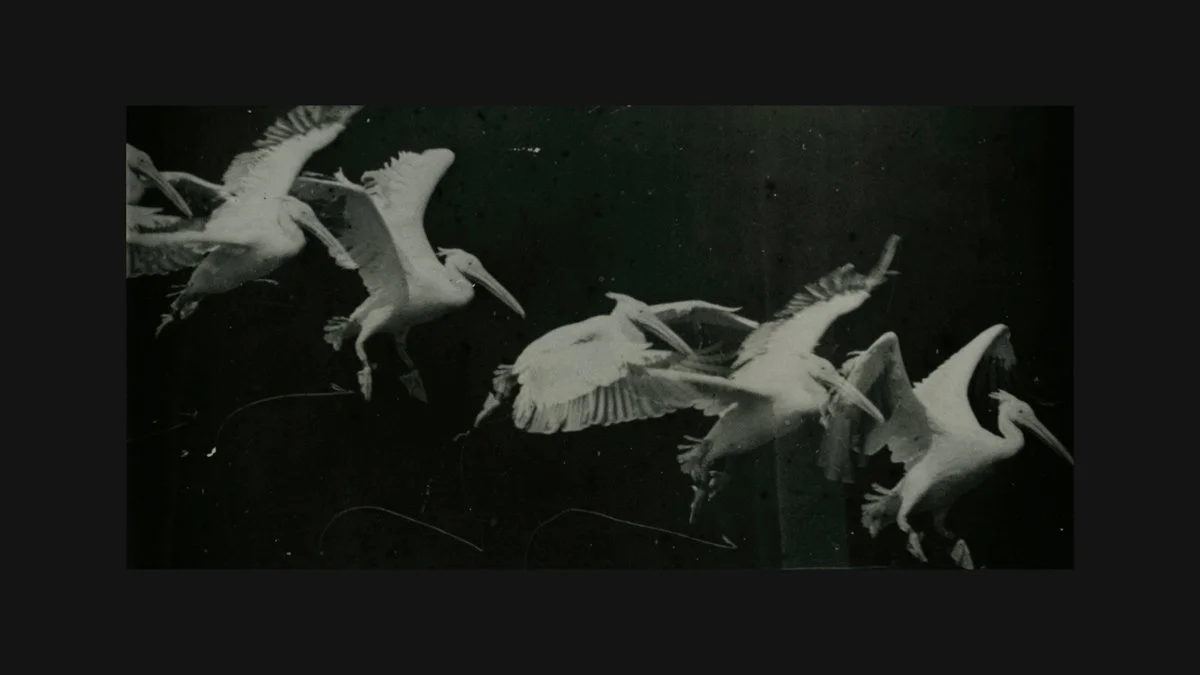 SEETHINK_FP020_Zero Baseline_1200.jpg