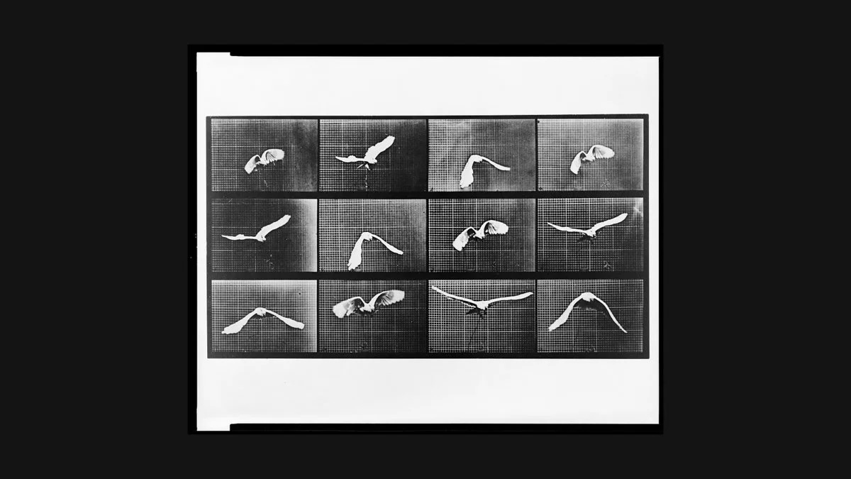 SEETHINK_FP022_Zero Baseline_1200.jpg