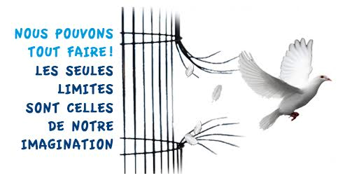collombe-cage- fond blanc.png
