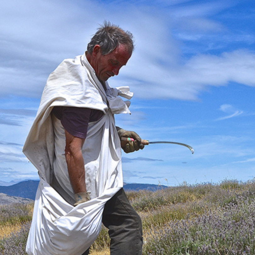 Atelier H&amp;T pour thérapeutes (en ligne) - Découverte du laboratoire