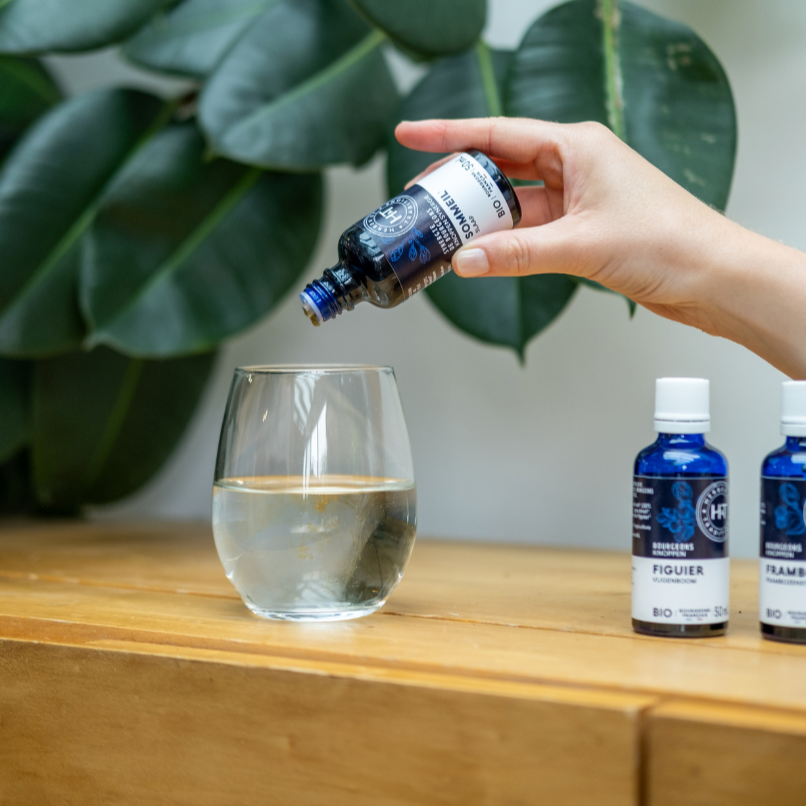 Atelier H&amp;T pour thérapeutes (en ligne) - Les bases de la Gemmothérapie