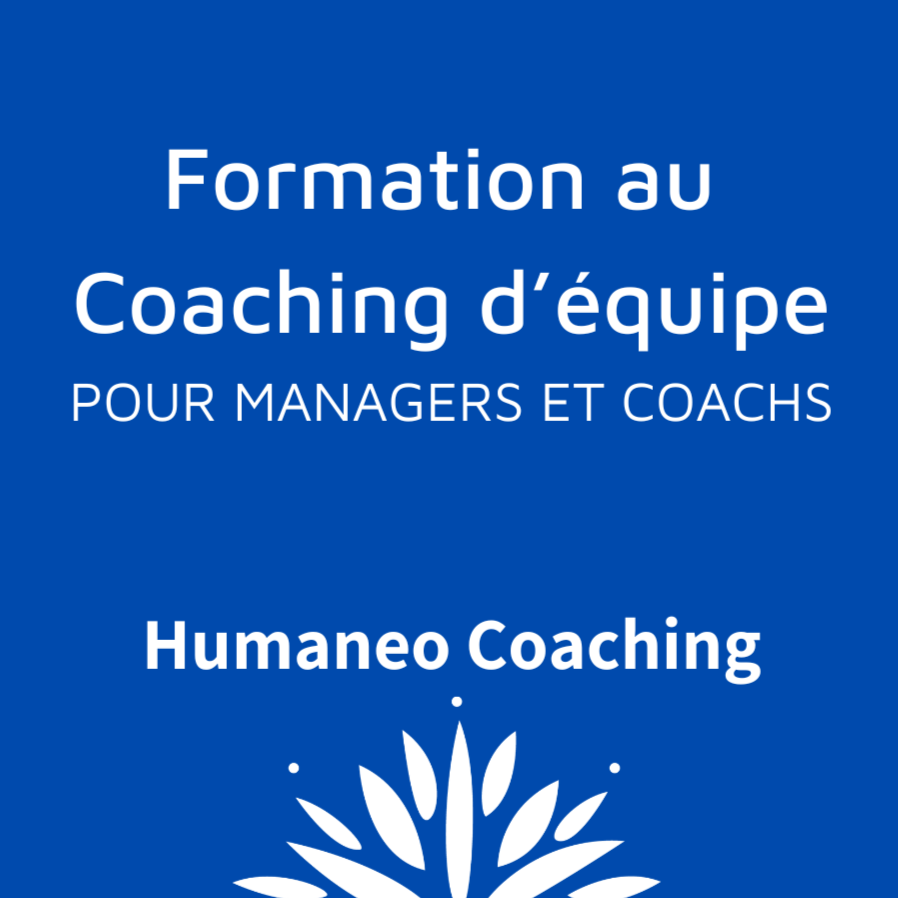Formation au Coaching d'Equipe pour Managers et Coachs