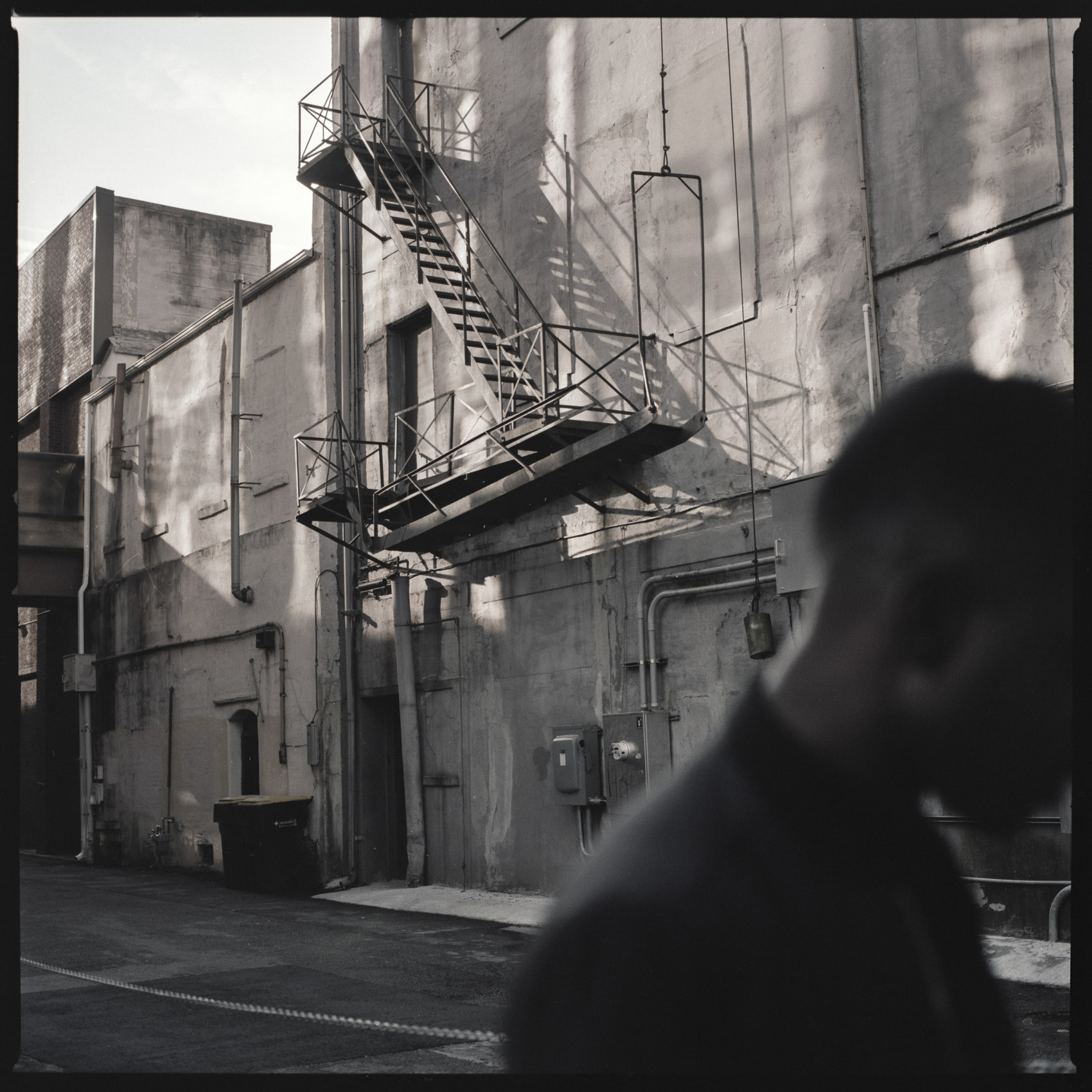 Shadow | Savannah