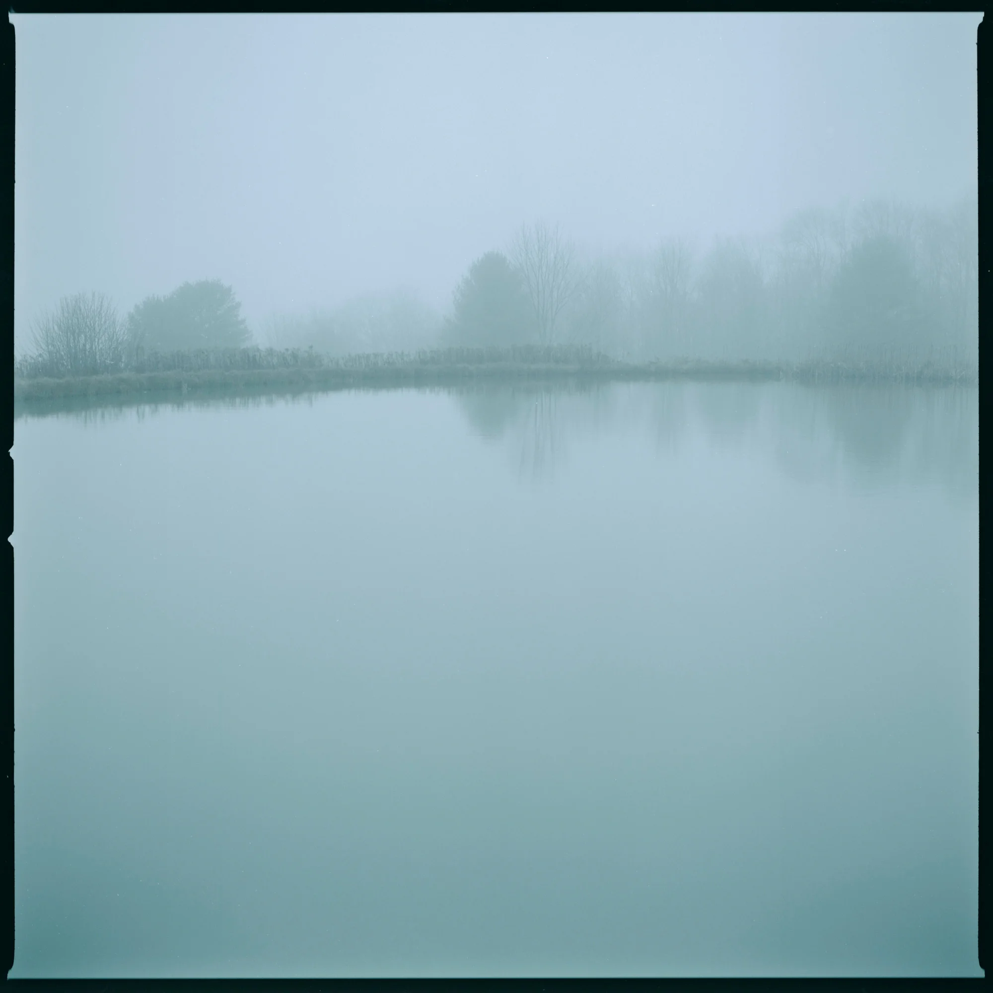 sheep_farmer_beau_kester_portrait_hasselblad_ithaca.jpg