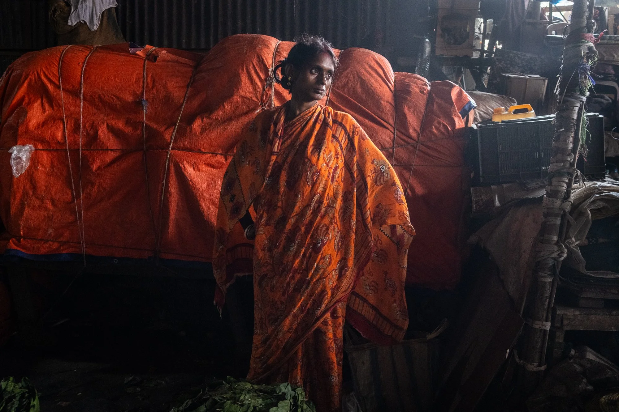 India-3.jpg
