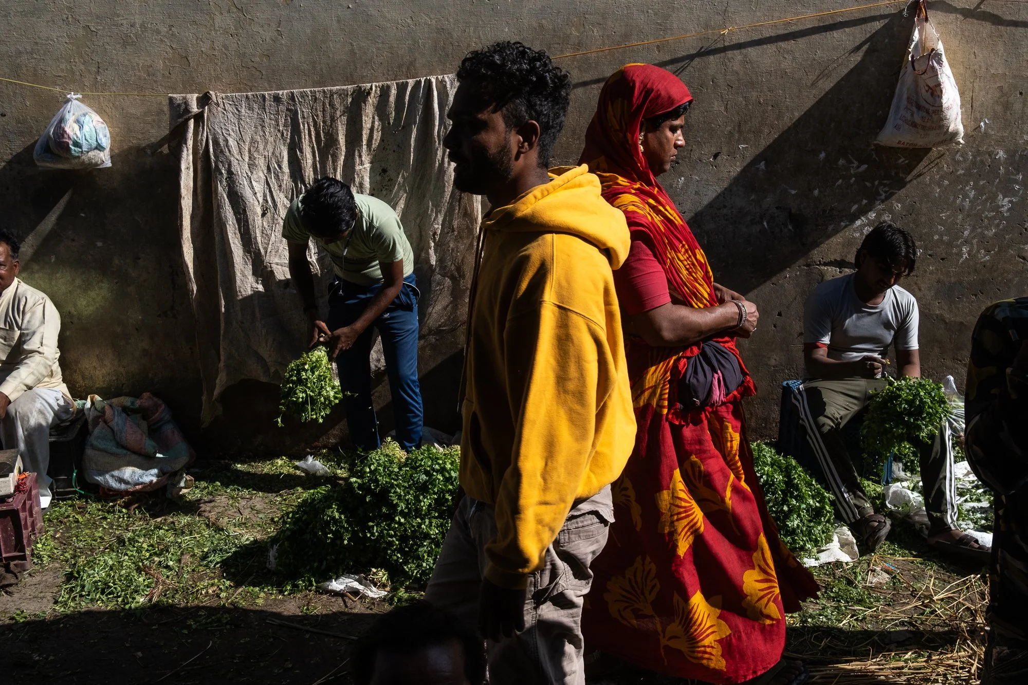 India-15.jpg