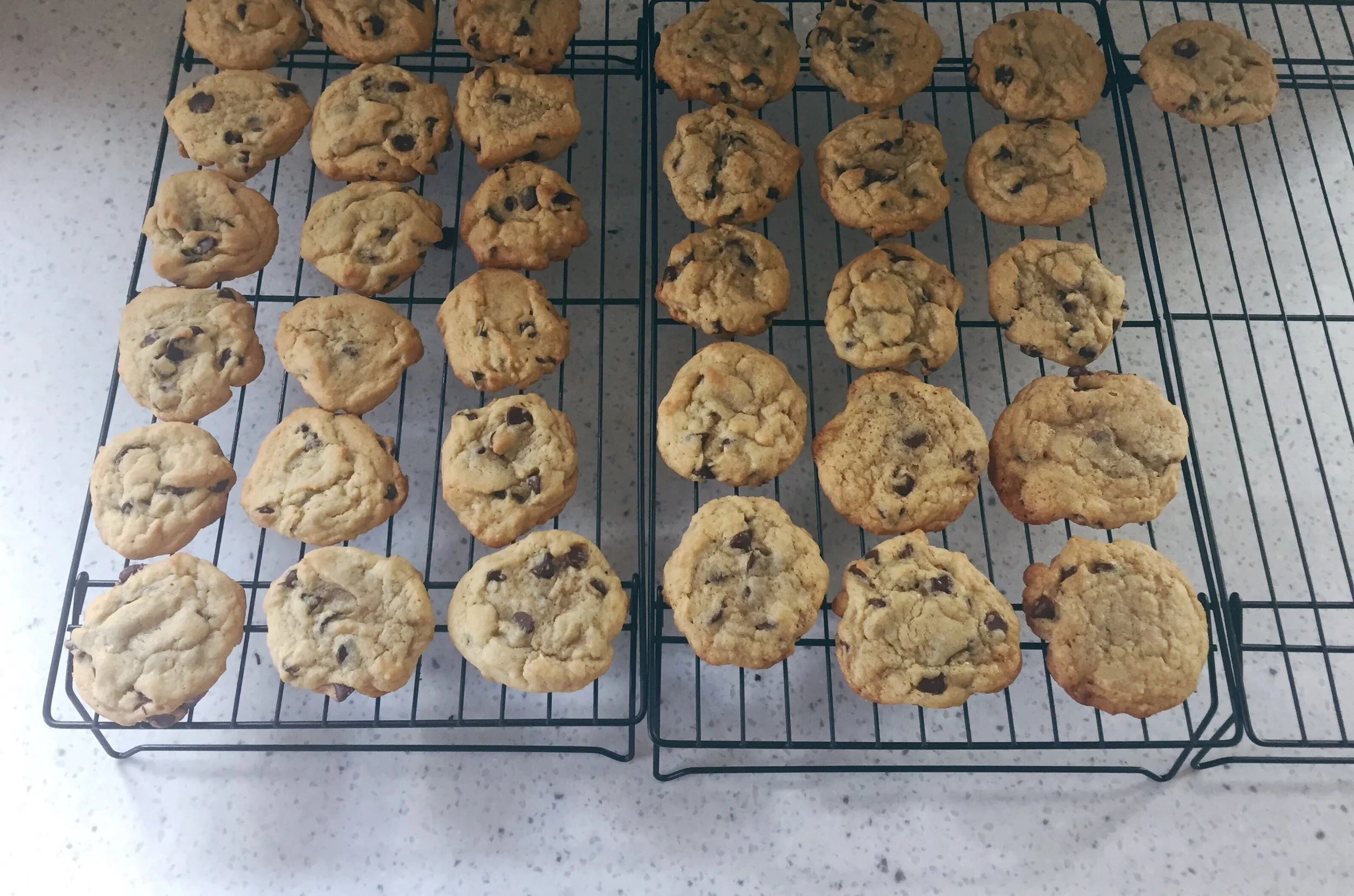 Chocolate Chip Cookies | Cassia & Co.