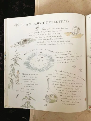 be an insect detective.png