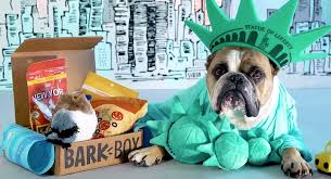BarkBox subscription