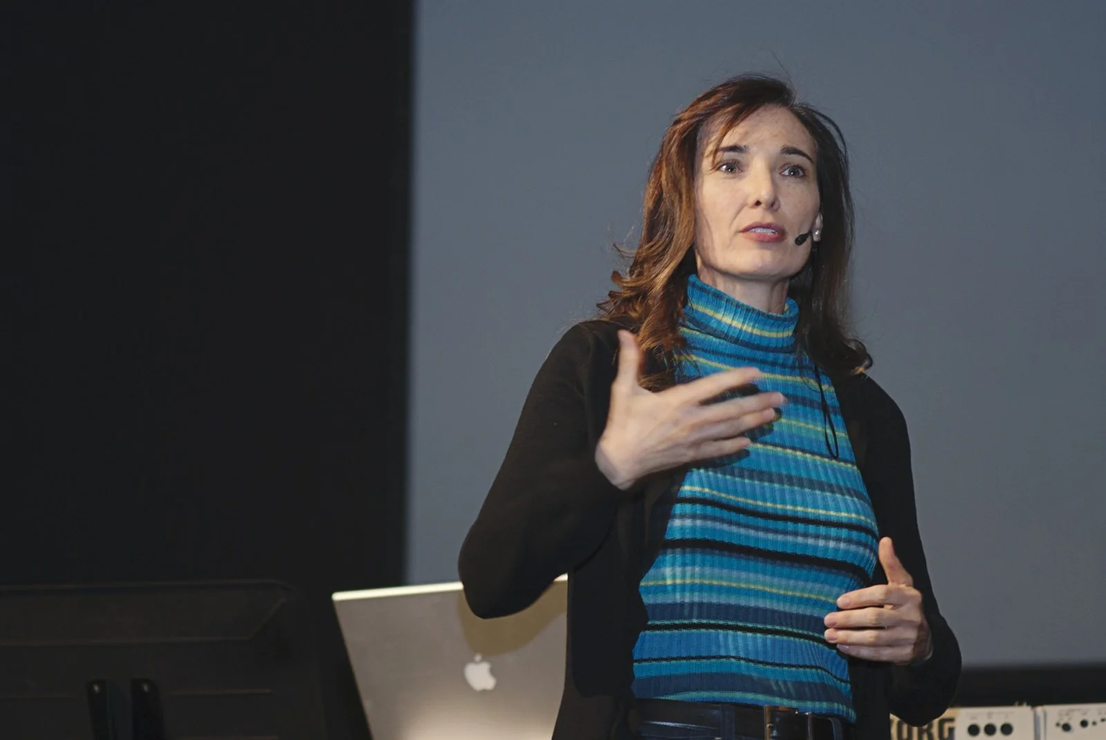 Tamara Rowe with brown hair, wearing a blue striped turtleneck and a black jacket, gives a presentation at the Vineyard Urbana Church, gesturing with her hand in front of her.