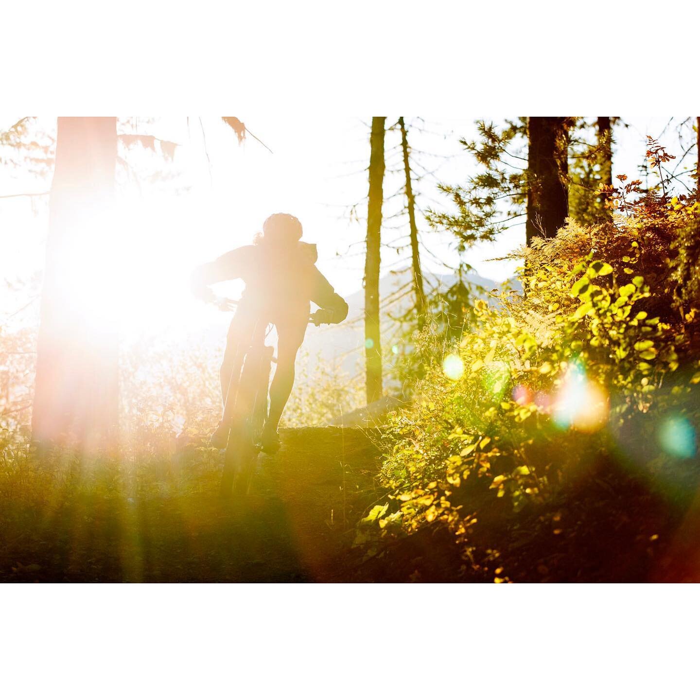 6 photos from 3 weeks ago riding bits and pieces of 4 stages for next years Kootenay @transrockies Singletrack 6 race which goes to Castlegar / Nelson x 2 / Kaslo / New Denver / Nakusp / 🚲 @jlehmannpt @salix.jakob  @cecicchp @travis_hauck