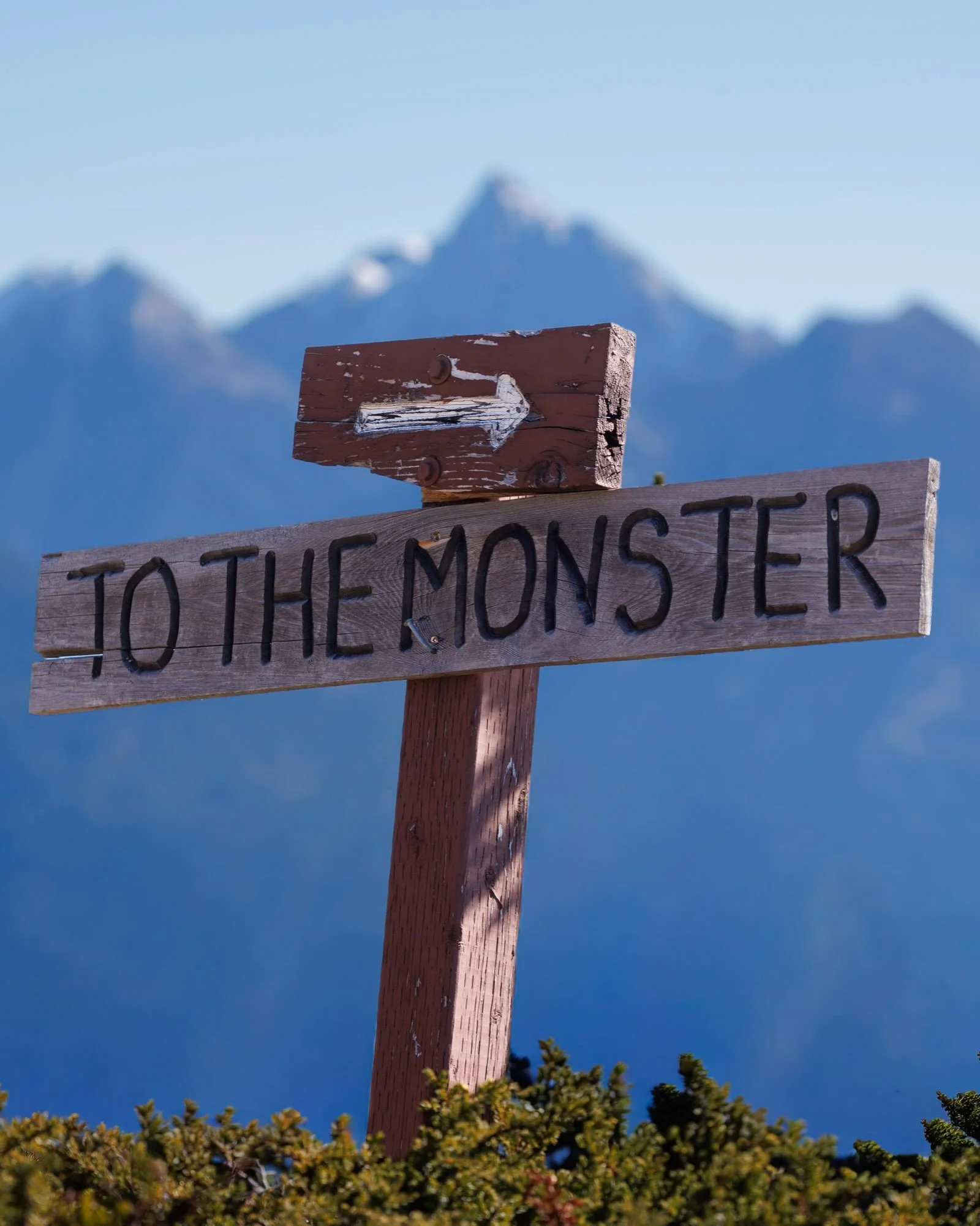 It was a full-on locals race down The Monster above Kaslo on Sunday, put on by the Nelson Cycling Club &amp; the Kaslo Mountain Bike Club. The Monster is a pretty terrifying double-black-diamond downhill trail that drops straight down 1,190 metres (3