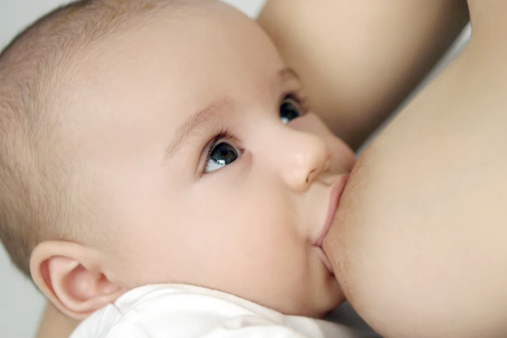 postpartum nutrition.jpg