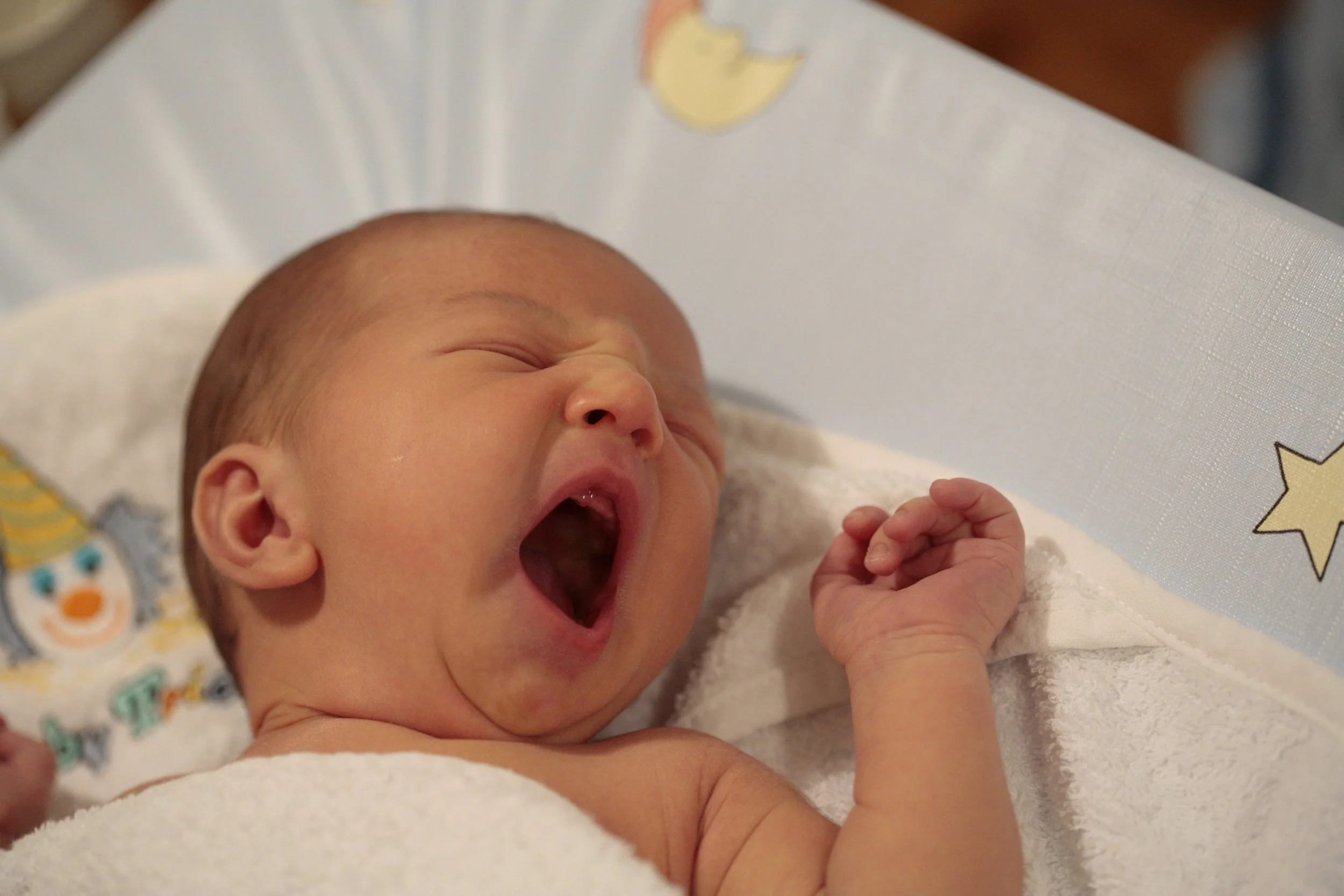 AdobeStock_1560191.jpeg