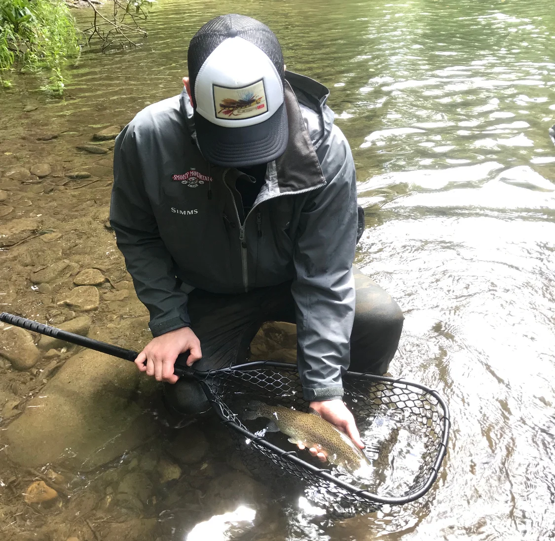 Smoky Mountain Angler Smoky Mountain Fly Fishing Trips