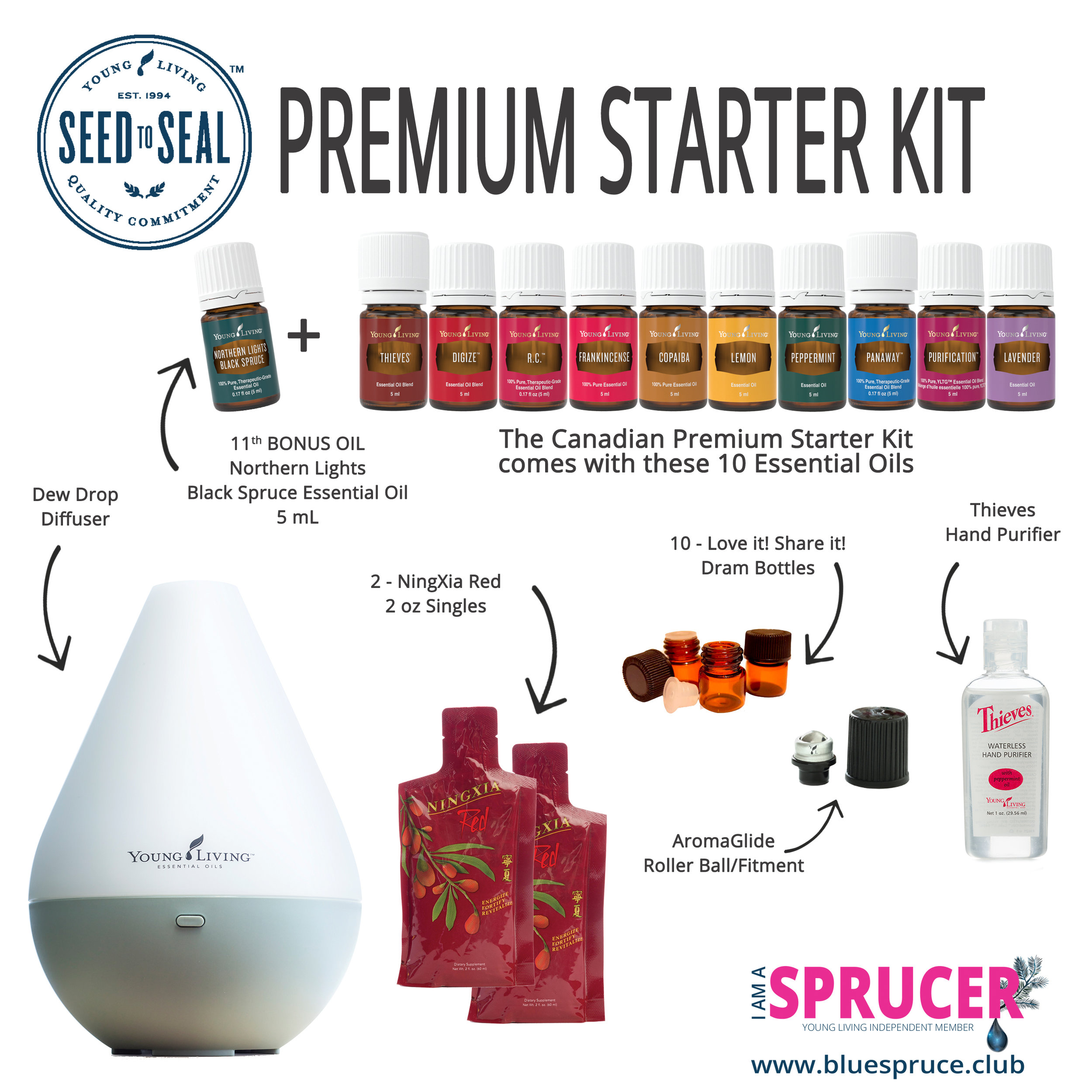 Oils and Dew Drop Premium Starter Kit.jpg
