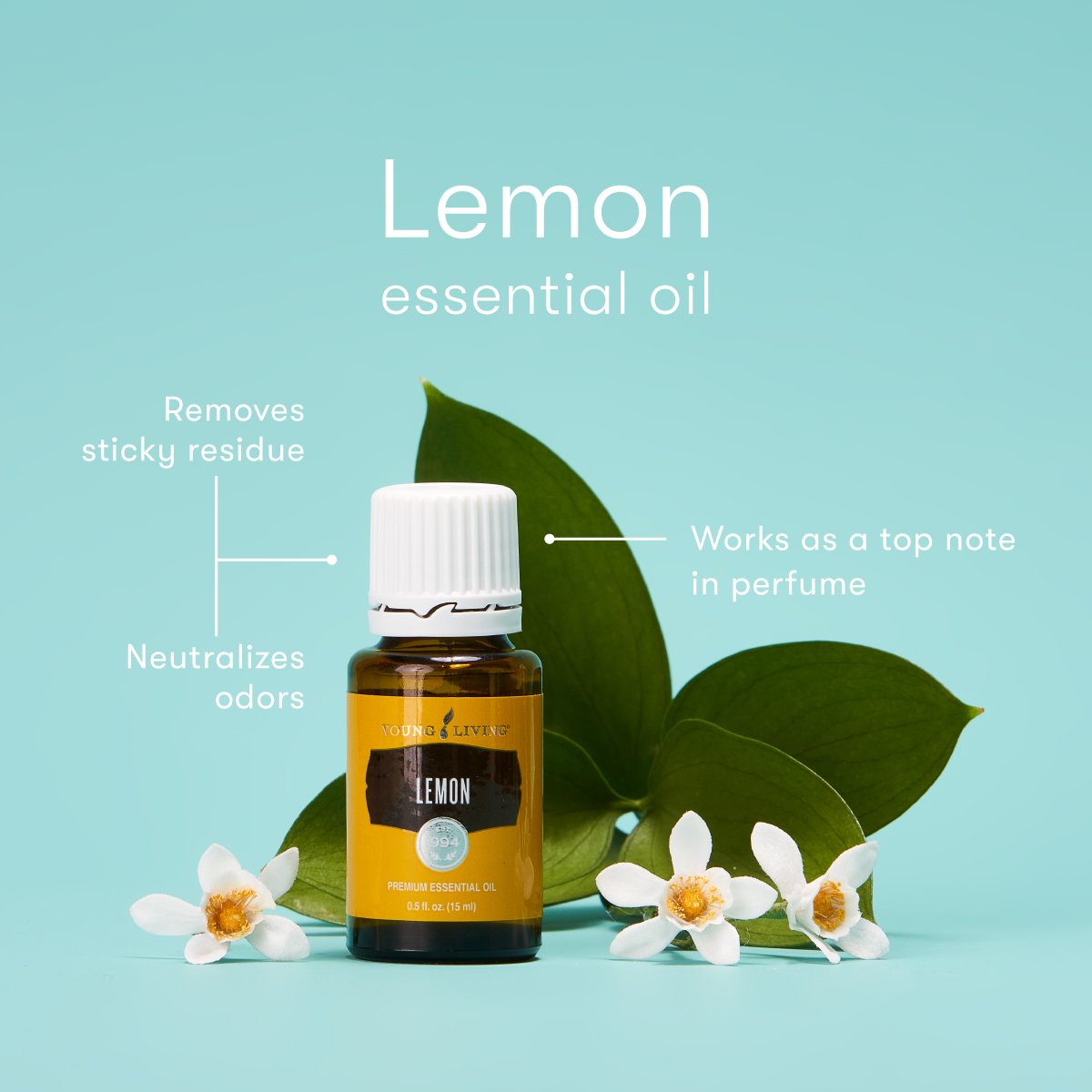 US_GWP_April2024_Lemon_Infographic.jpg