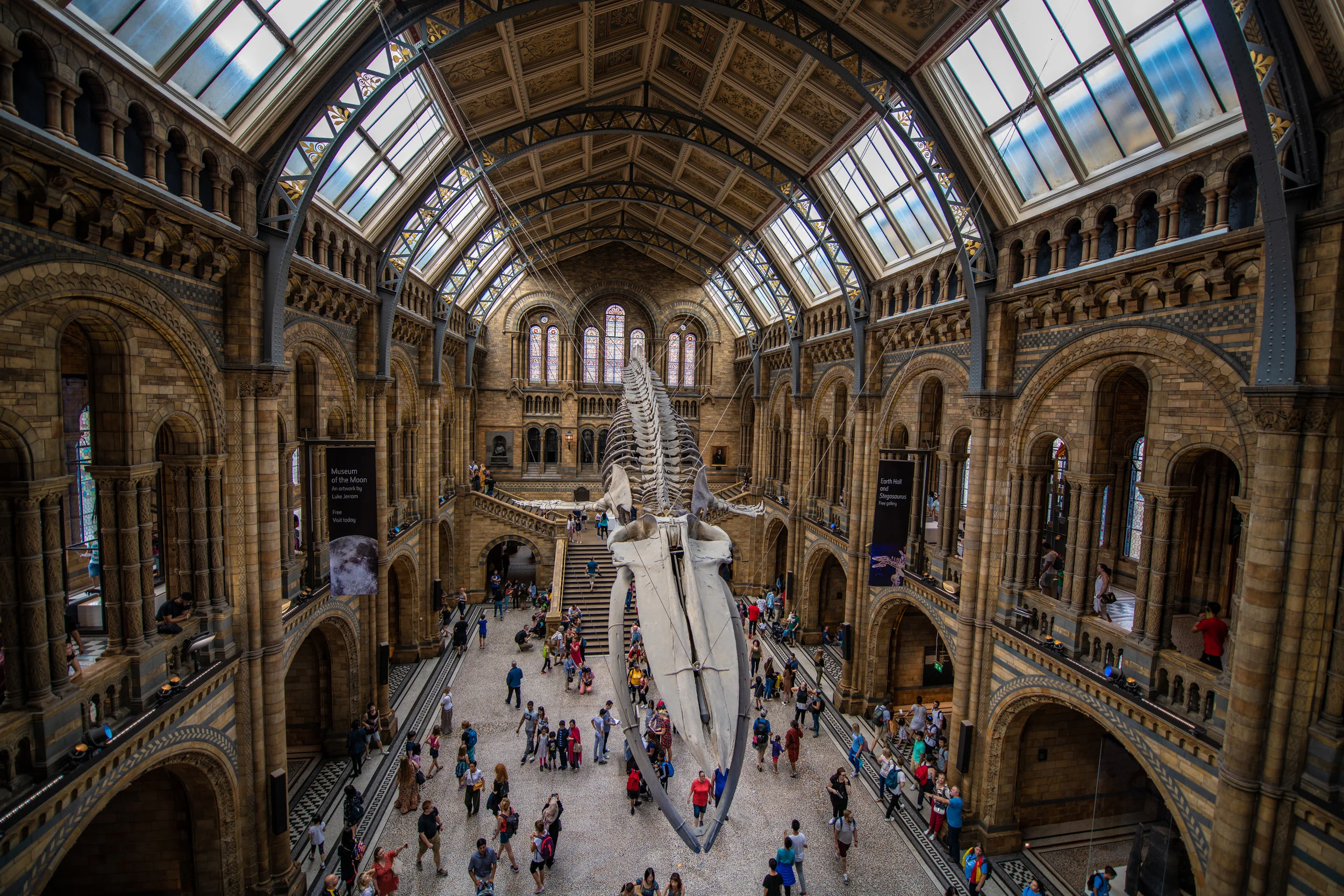 Personas and Designing the Ideal Museum Experience