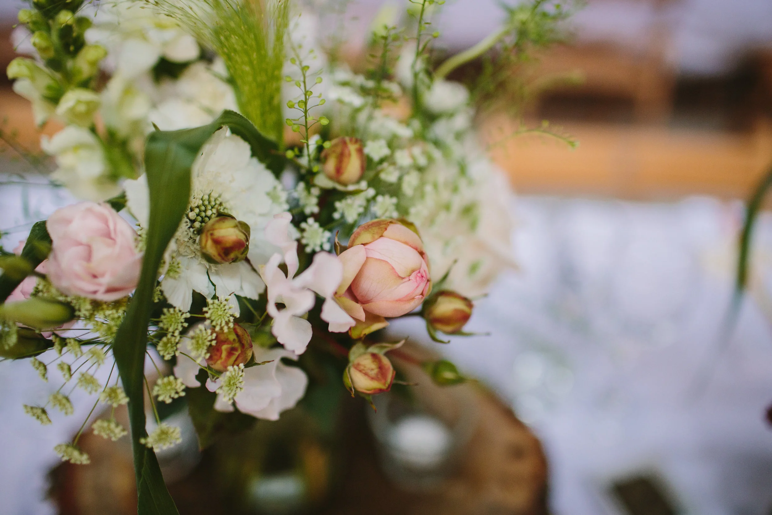 flowers.jpg