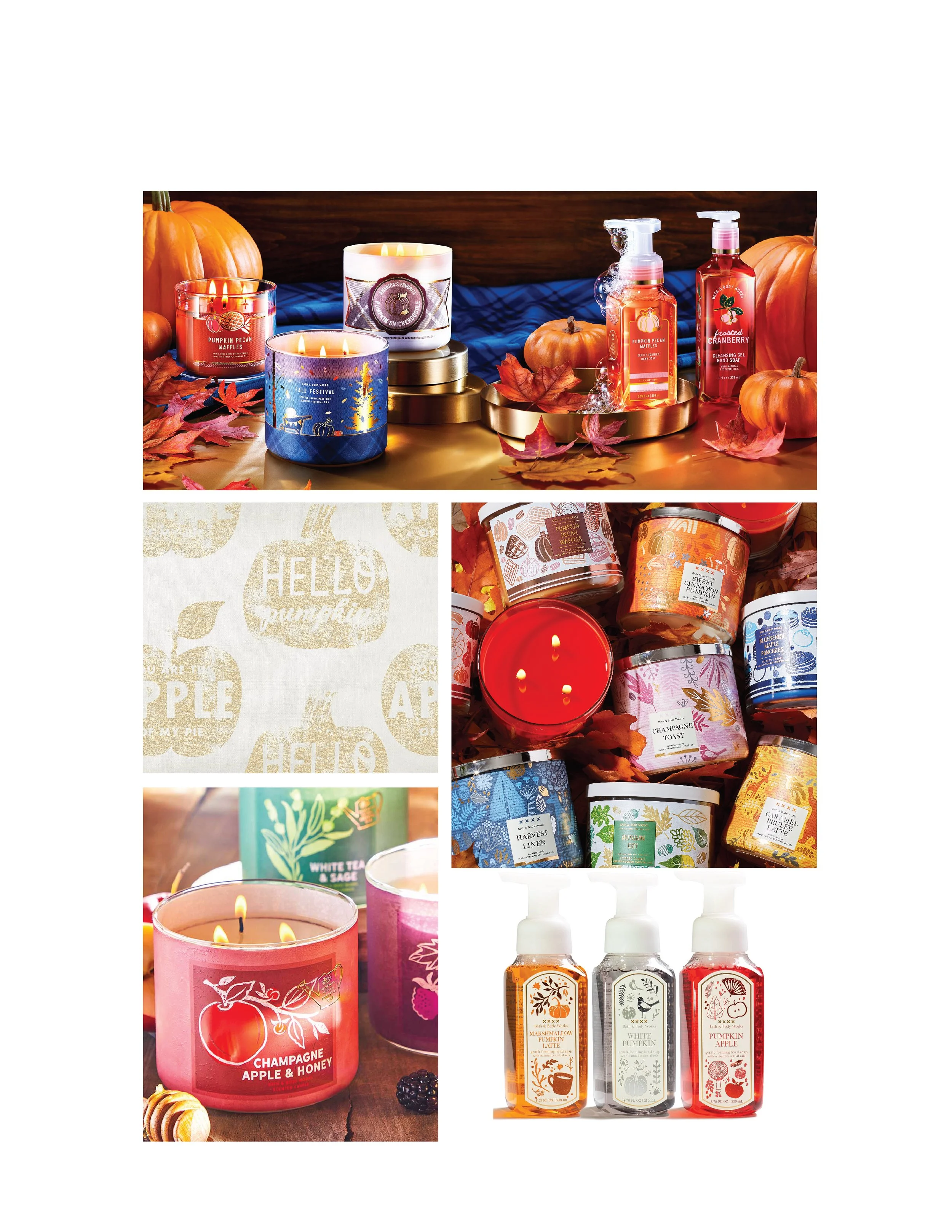 Michiyo-Nelson portfolio-2024-CP2-28.jpg