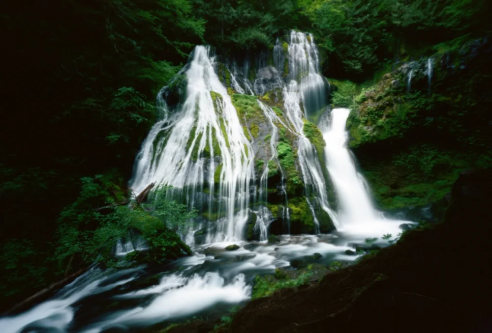Gifford Pinhole National Forest by Brita Enflo