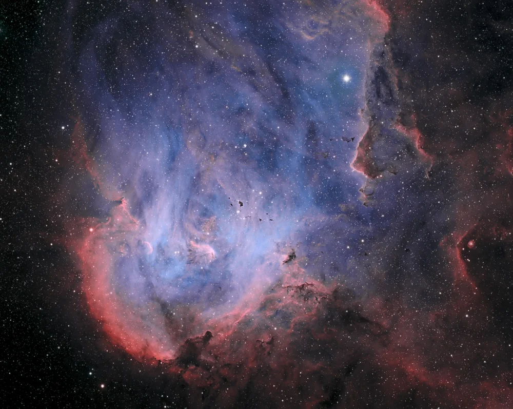 Running Chicken Nebula