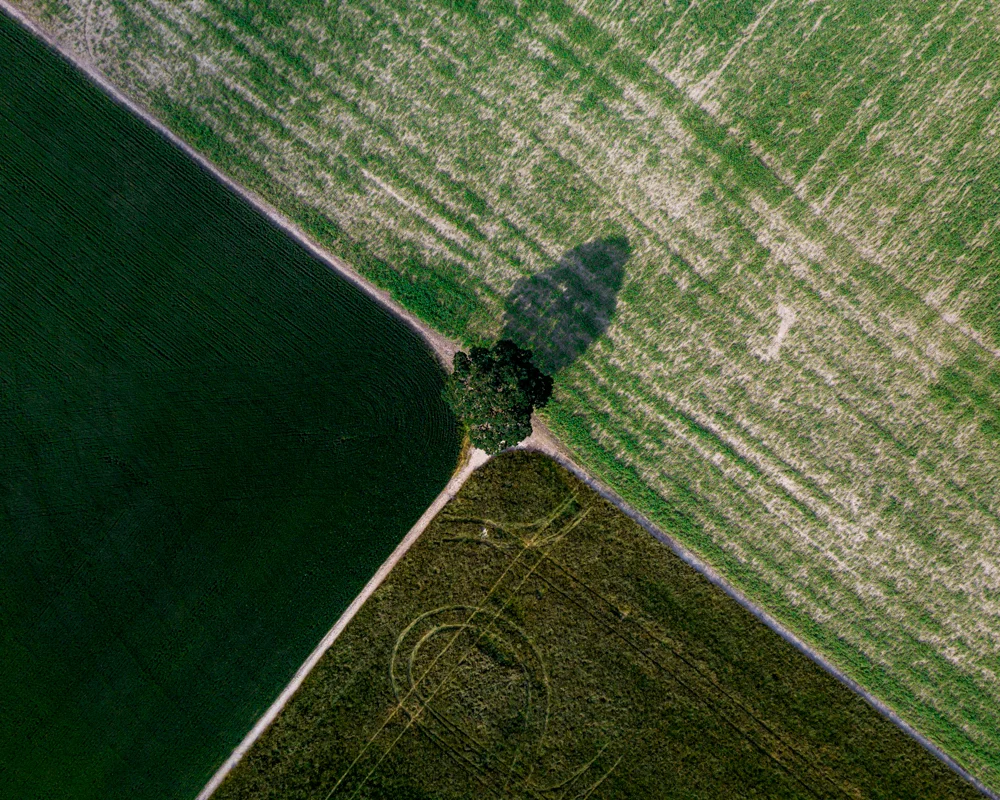 Stuck in the Middle