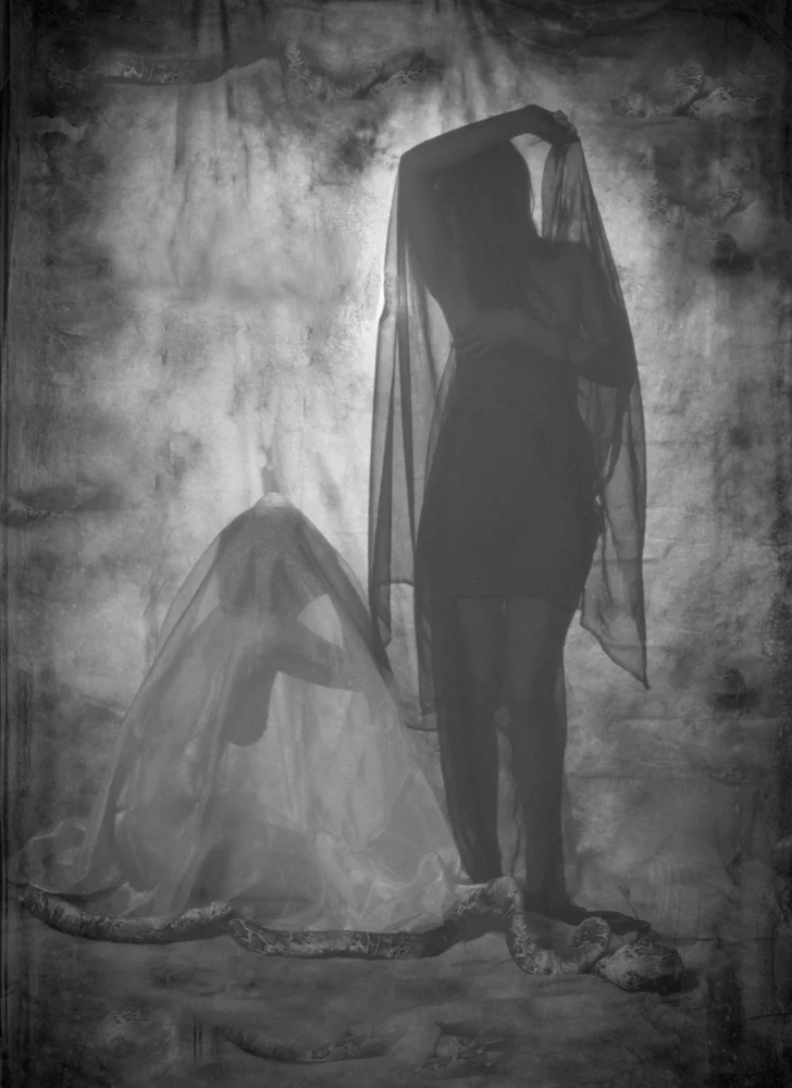 Dark and Light Challenge #16
Thsi is a take on Adam and Eve with Eve and Eve yin yang
@abigayletarschesphoto