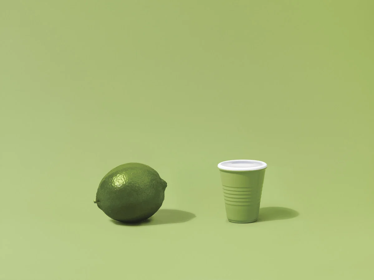 Myers_Naked Turtle Found Productions_2.jpeg