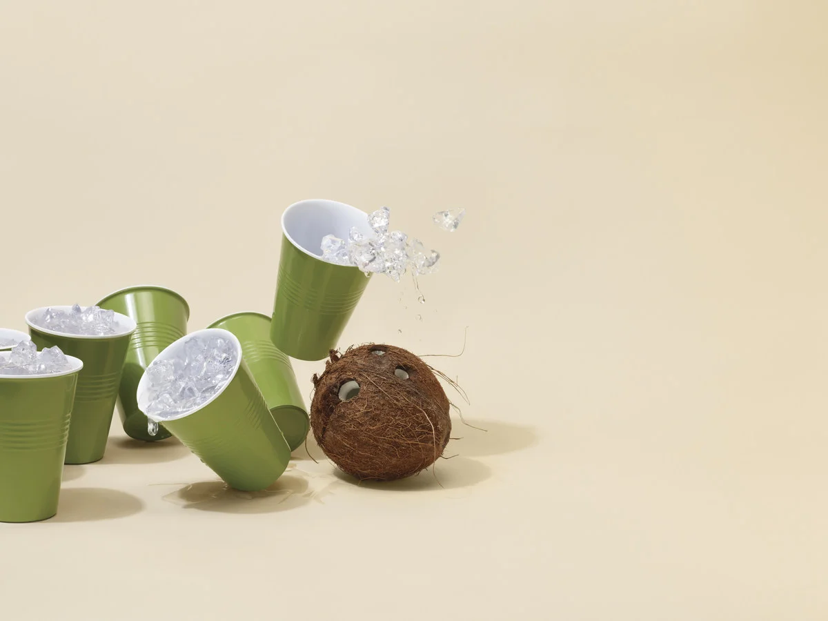 Myers_Naked Turtle Found Productions_5.jpeg