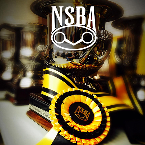 strategy-driven-marketing-nsba-advertising-graphic-design-signage-magazine-covers-content.jpg