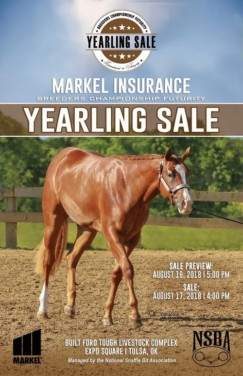 nsba-national-snaffle-bit-association-strategy-driven-marketing-sdm-ad-design-advertising.jpg