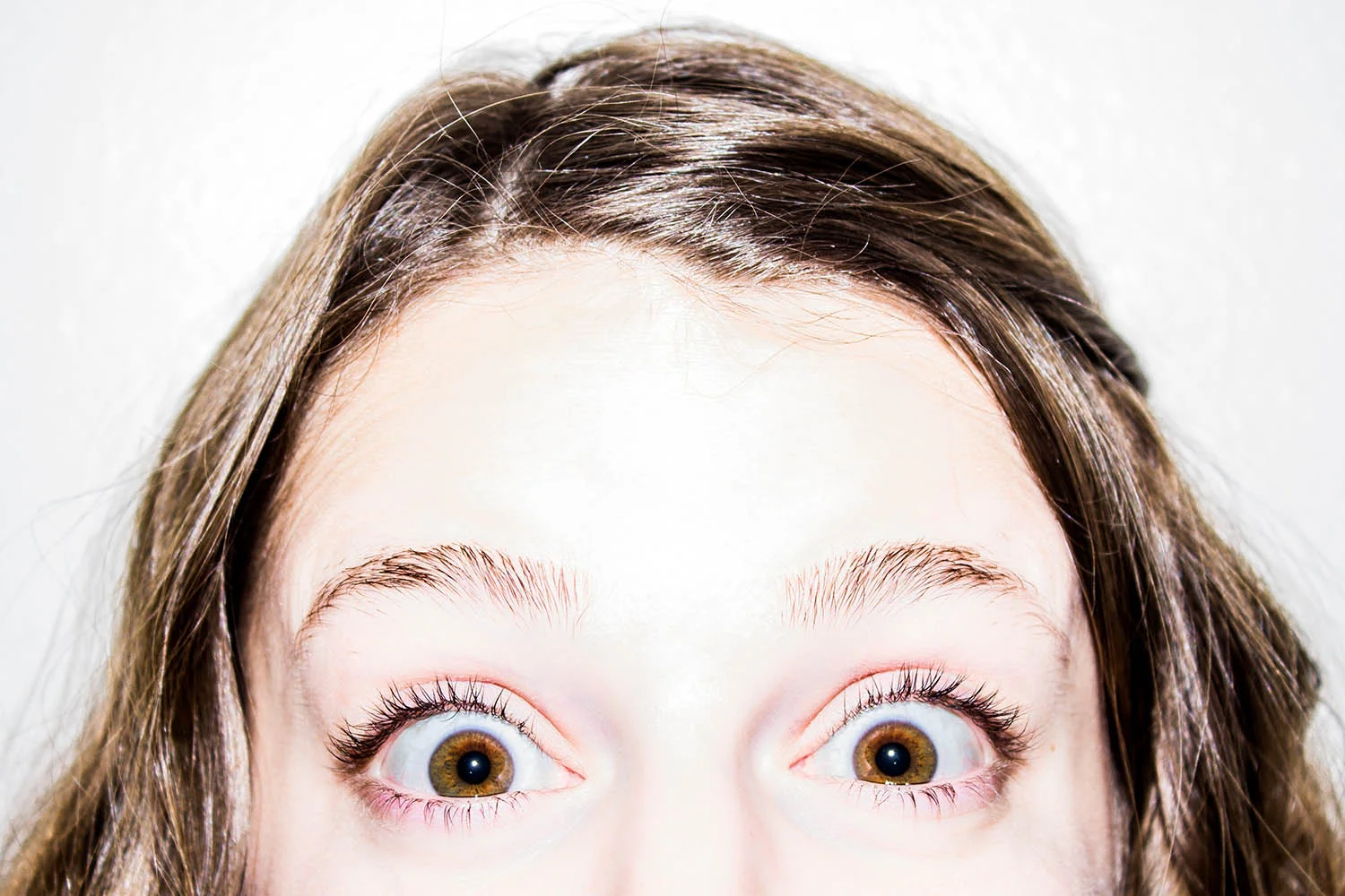 FAQ Tips from the Team at SDM: Thoughts from Different Perspectives