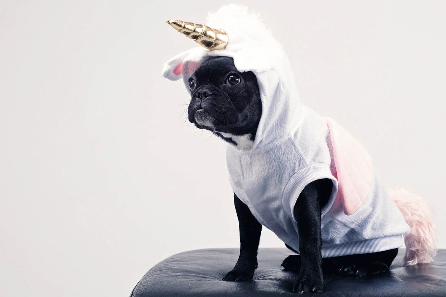Social Media Myths and Misconceptions