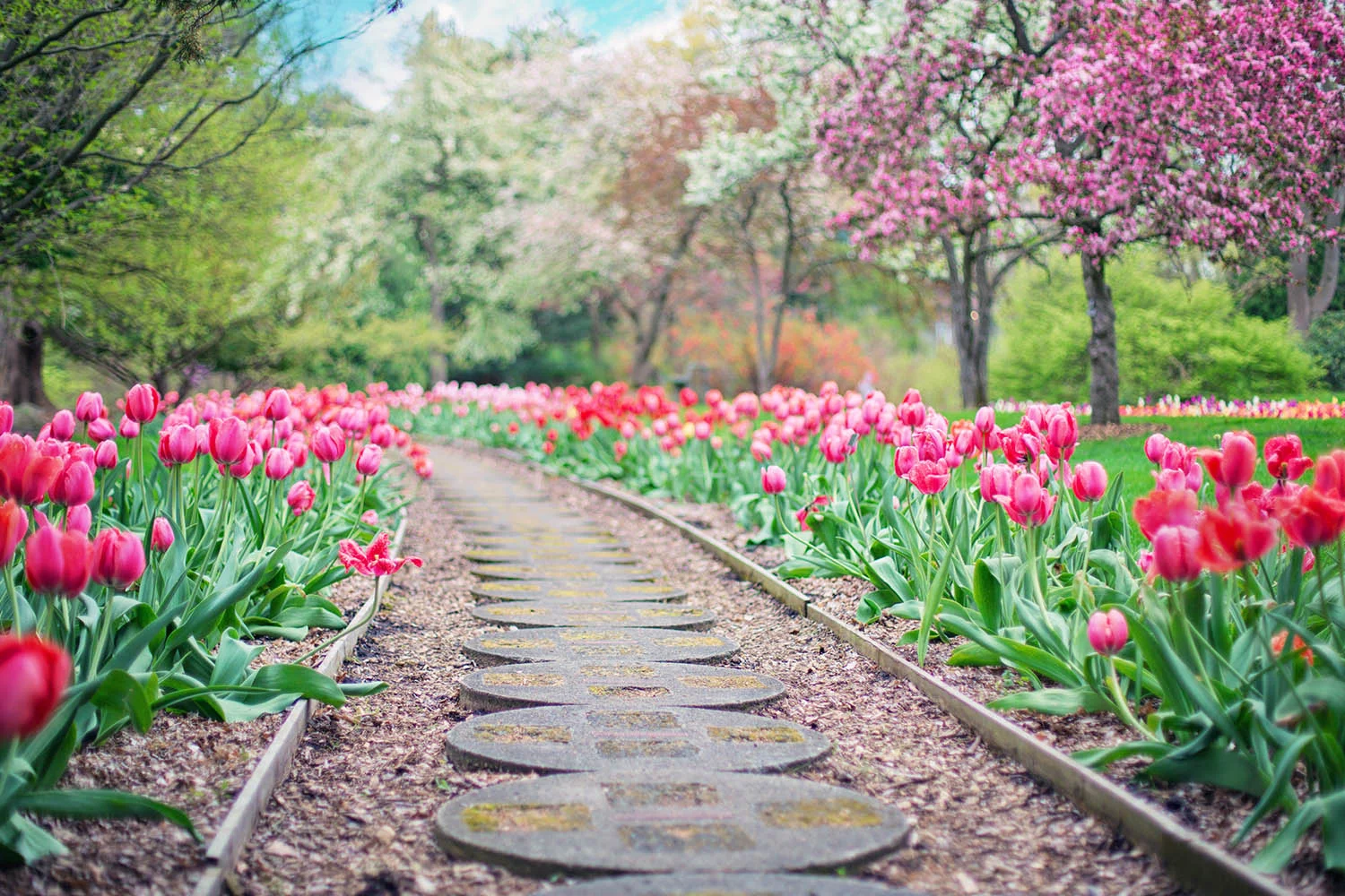 Website Tips for Landscapers
