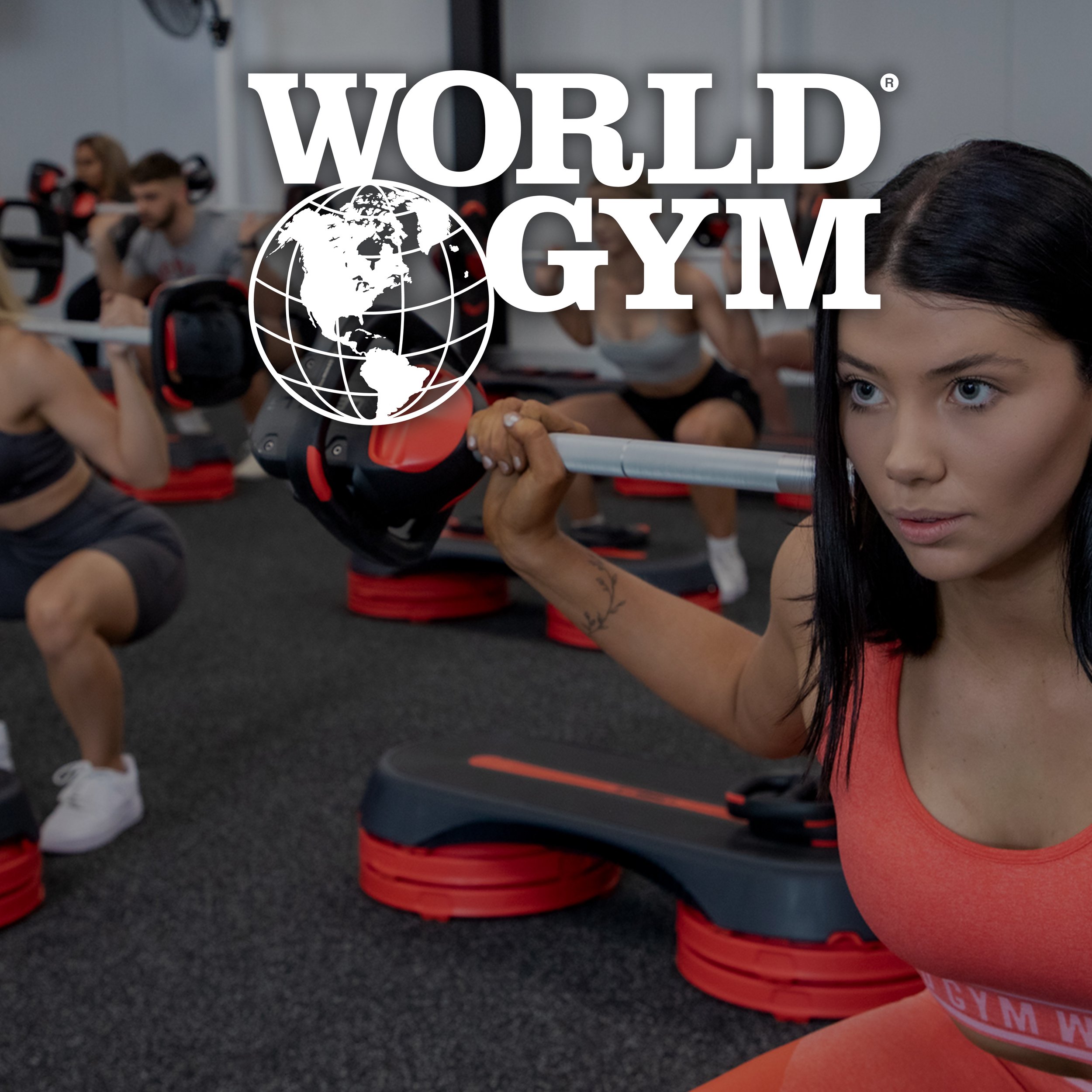 world-gym-strategy-driven-marketing-graphic-design-marketing-support.jpg