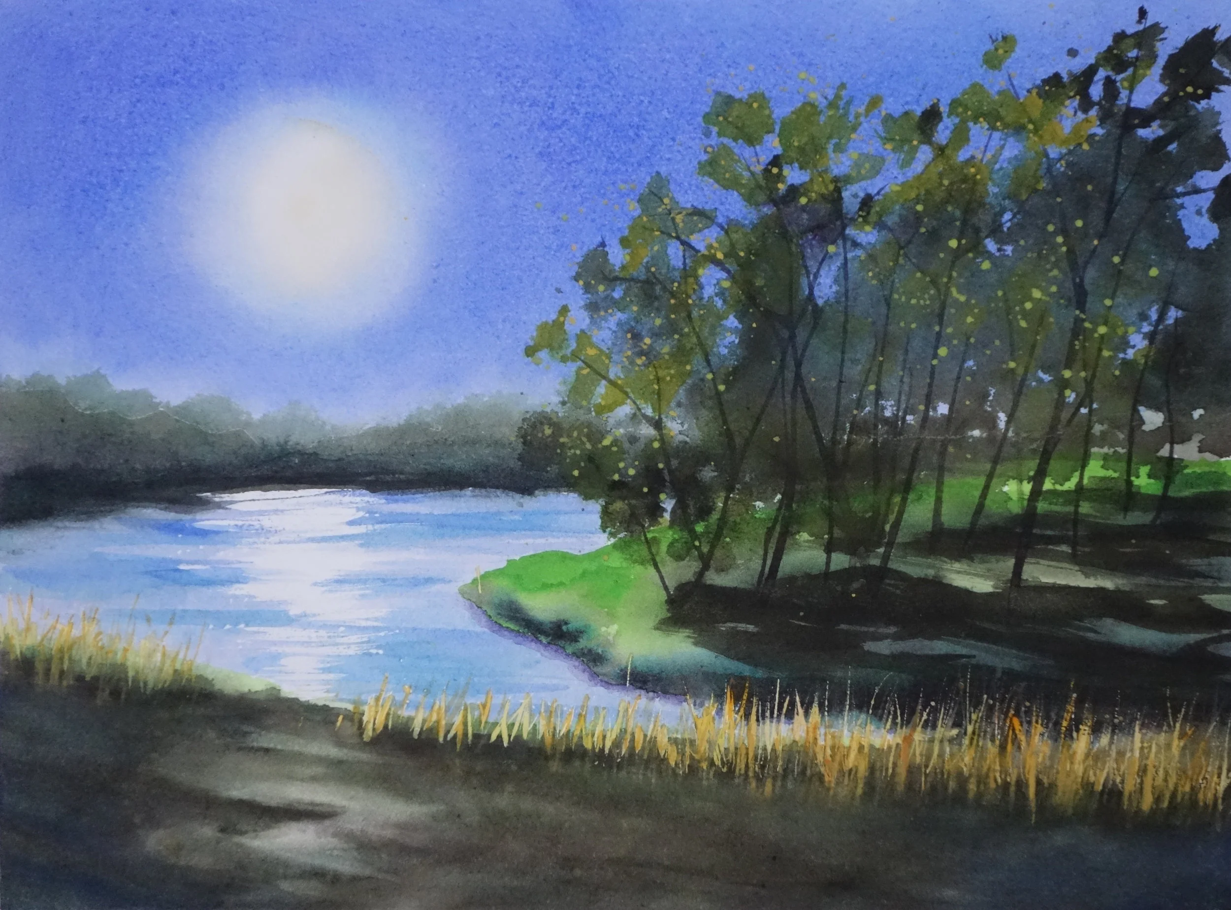 Moonshadows
