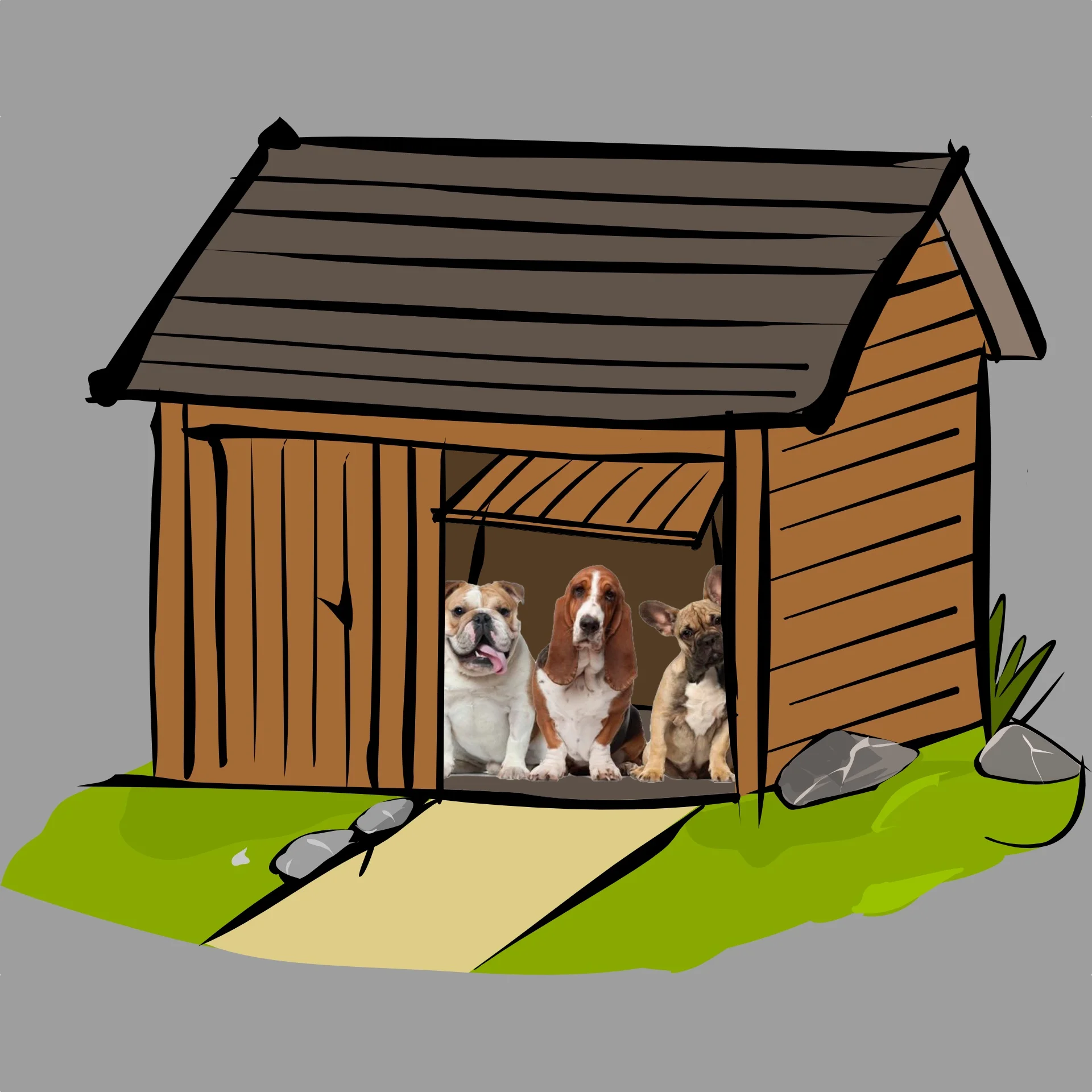 The settlers feel a little overwhelmed in the Shed