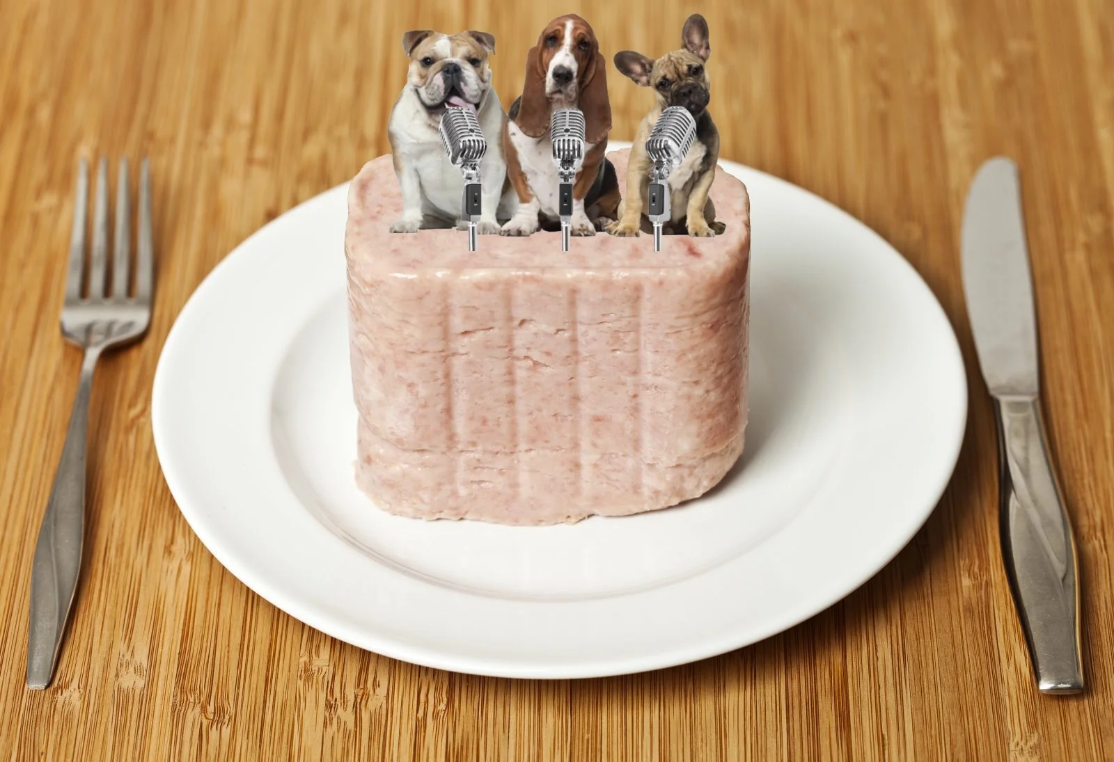 Dogs in Spam