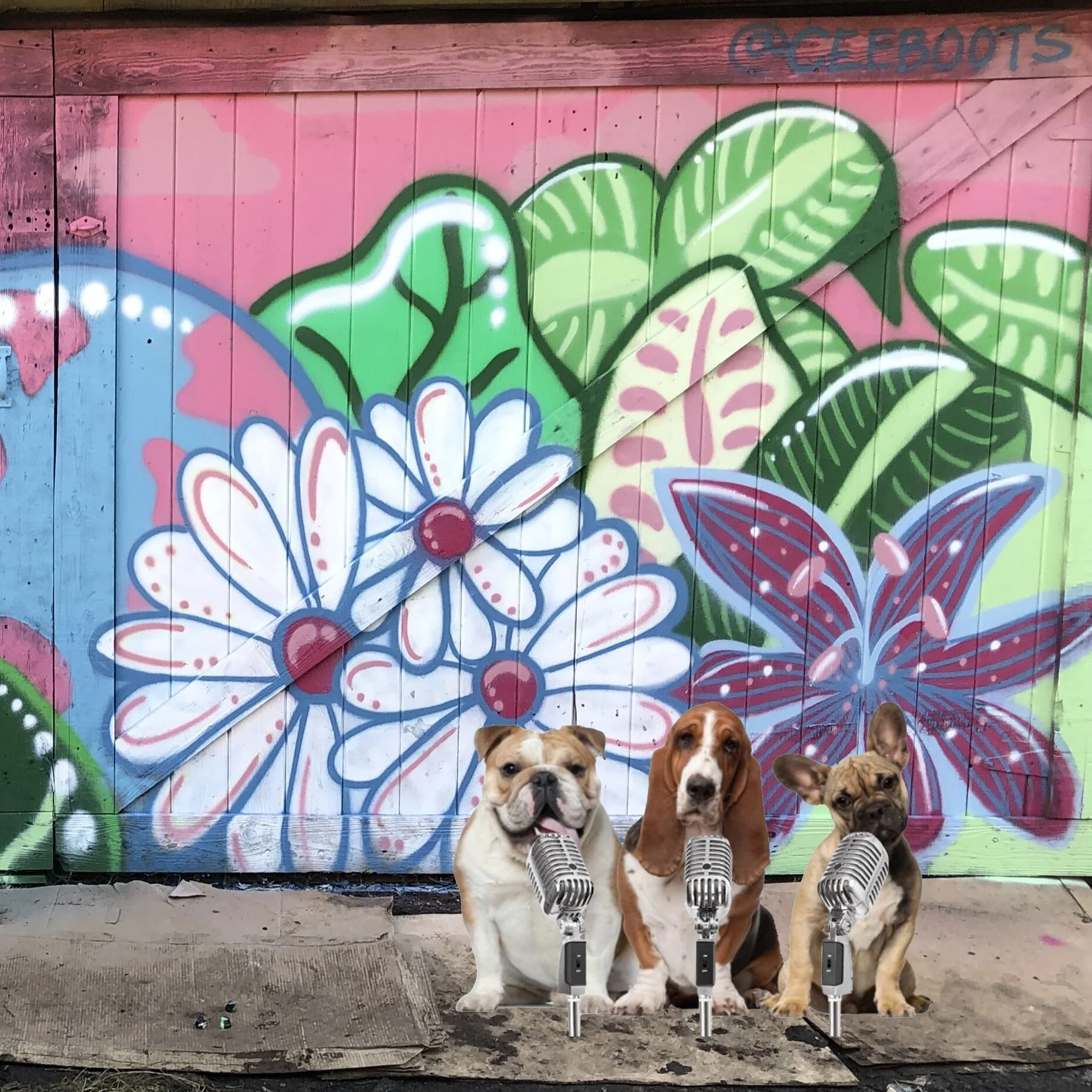 82. Socially distant Dogs part 2