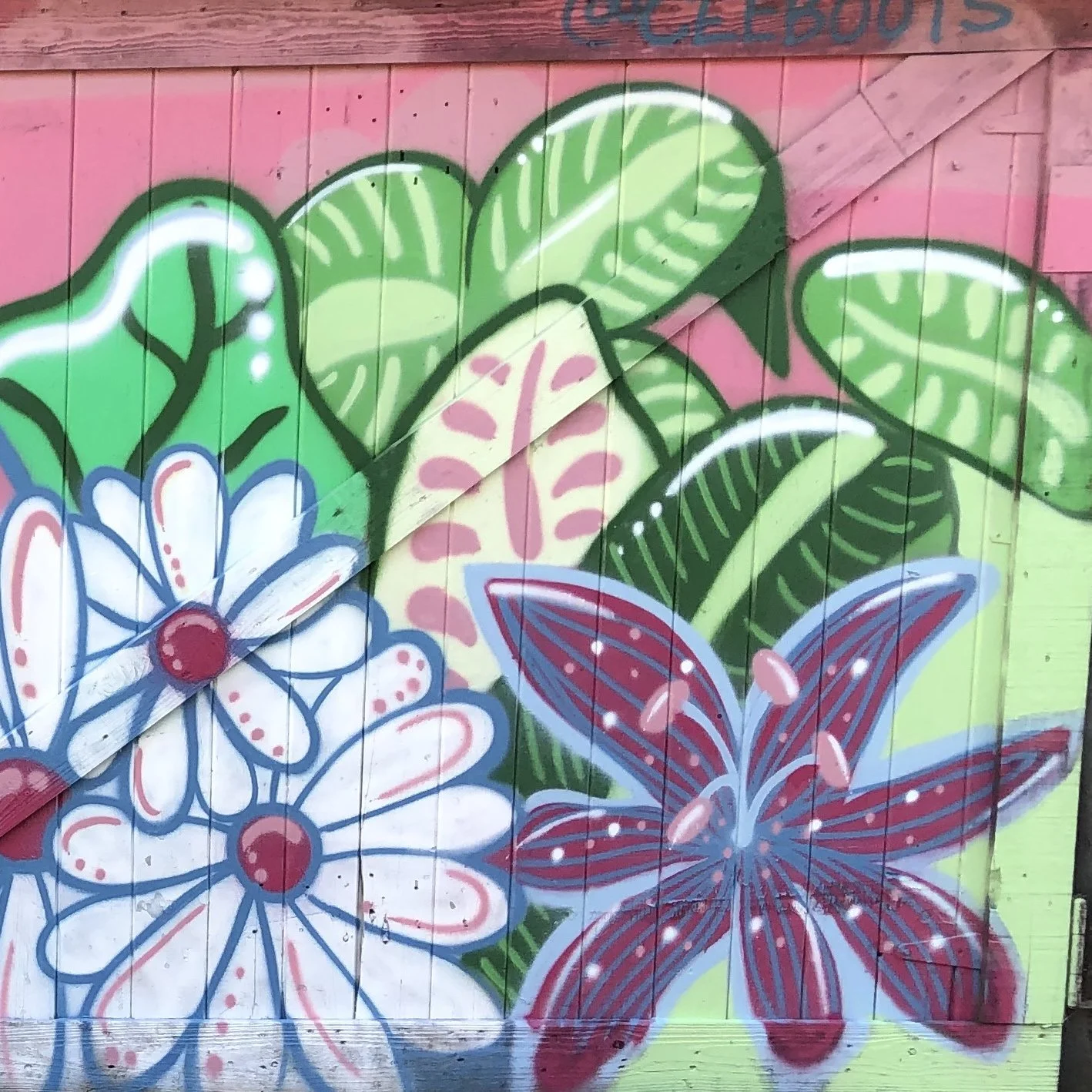 82. Socially distant Dogs part 2